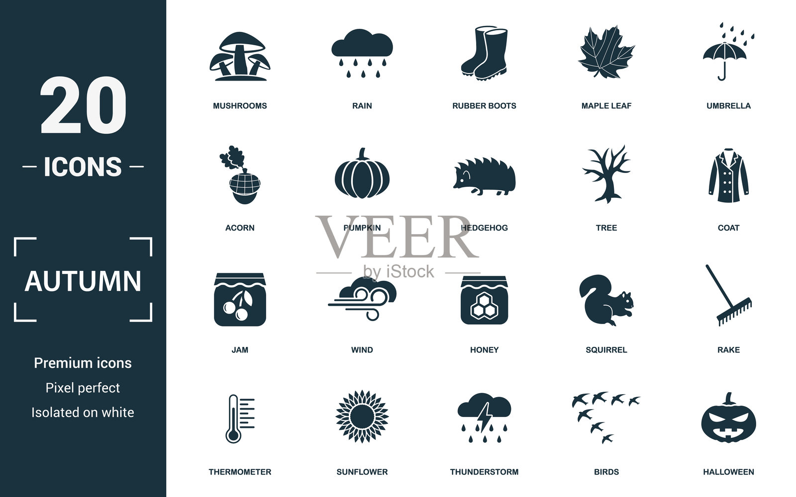 秋季图标集,包含雨水、南瓜和飘落的树叶插画图片素材