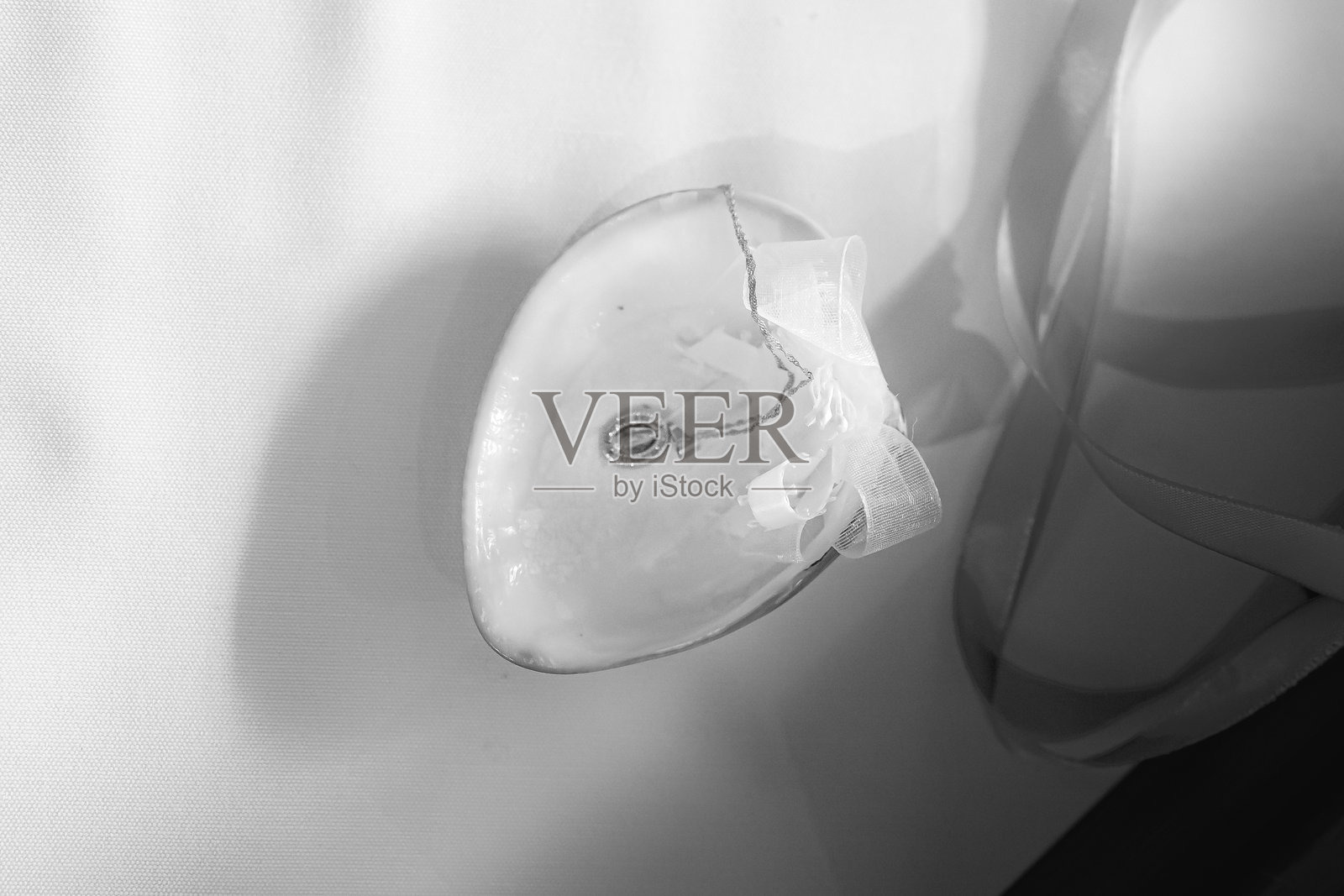 贝壳照片摄影图片