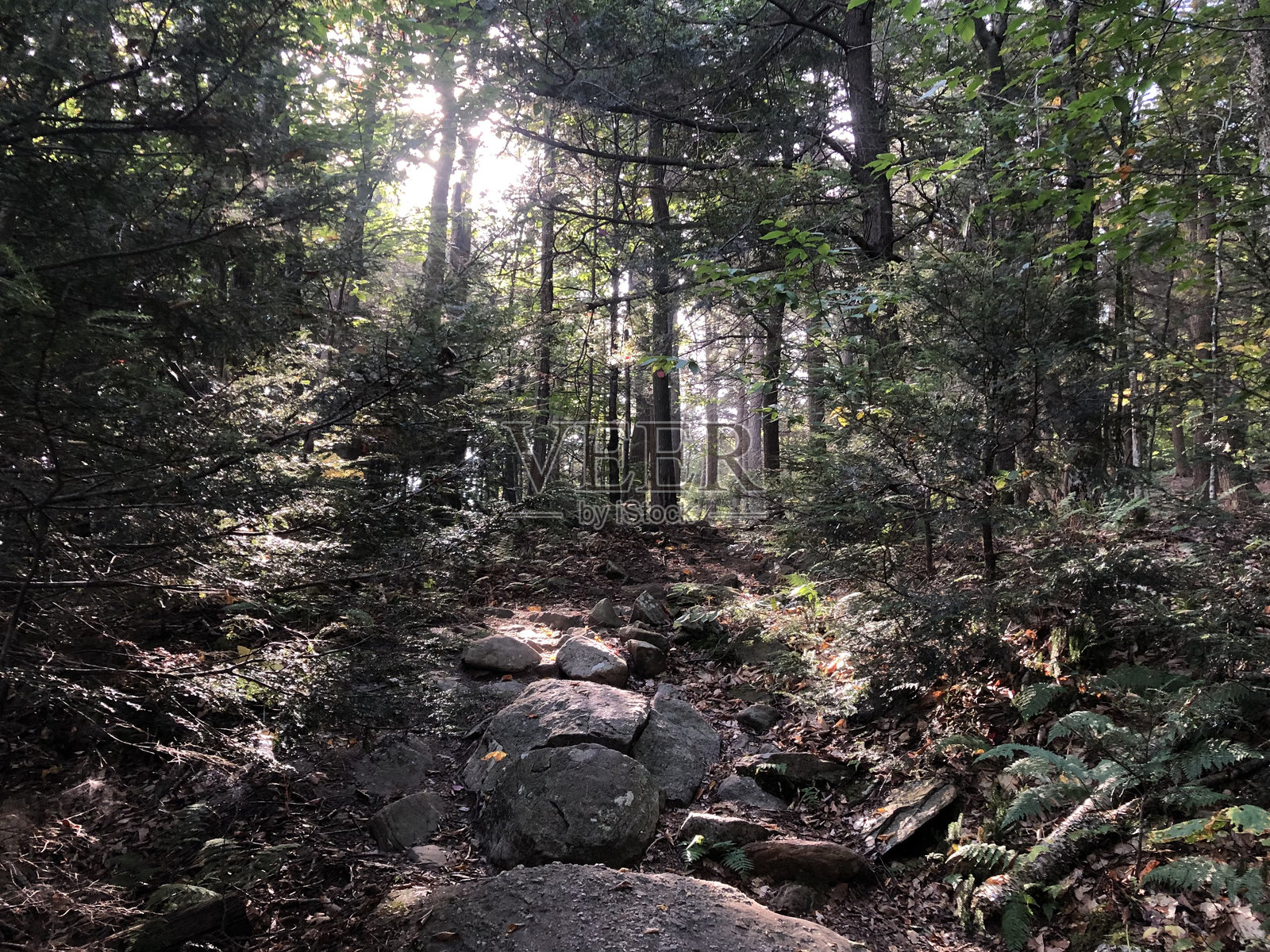 九月的威滕堡山,位于纽约州的卡茨基尔山脉。照片摄影图片
