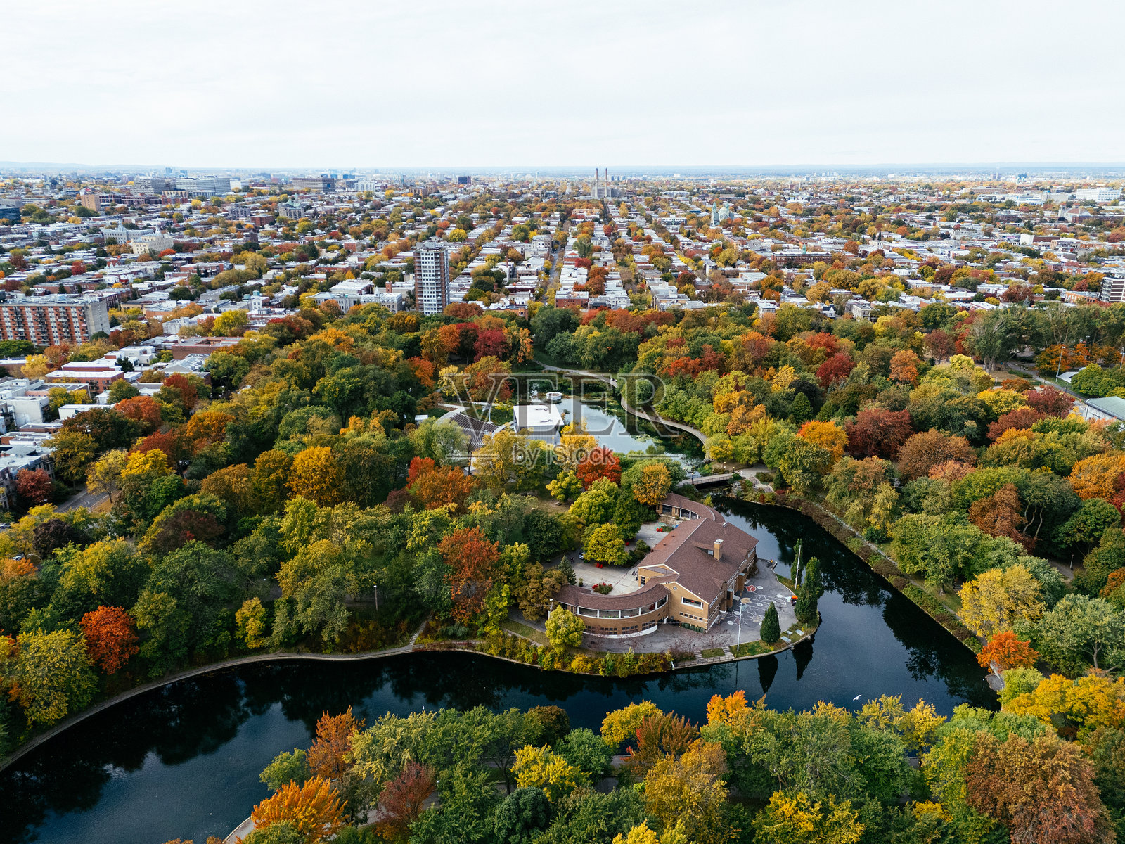 一个公共公园,秋天的树叶变色,背景是市中心的摩天大楼照片摄影图片