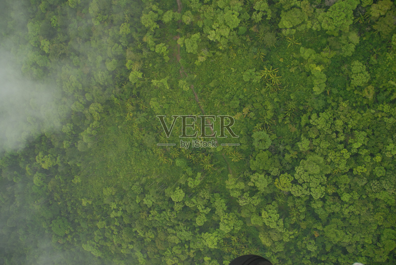 从轻型飞机拍摄的伯利兹南部托莱多区热带雨林树冠的纹理鸟瞰图,树顶郁郁葱葱。照片摄影图片