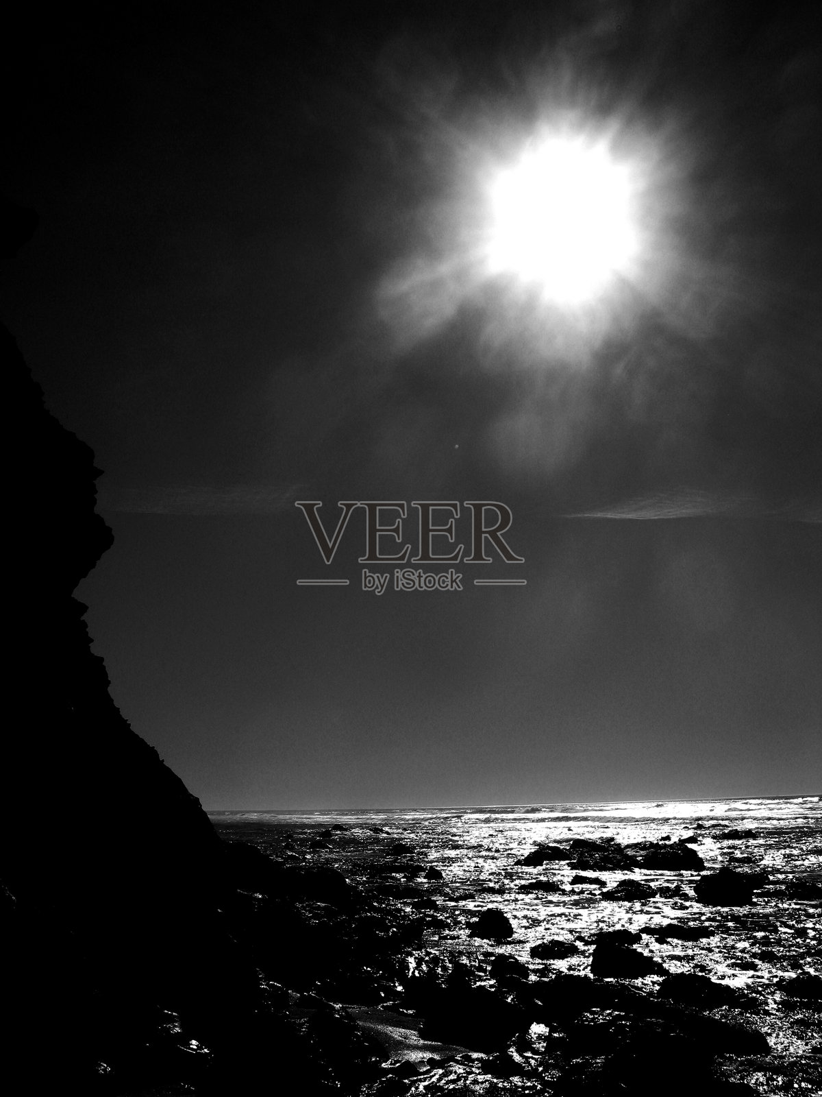 阳光透过树木照片摄影图片