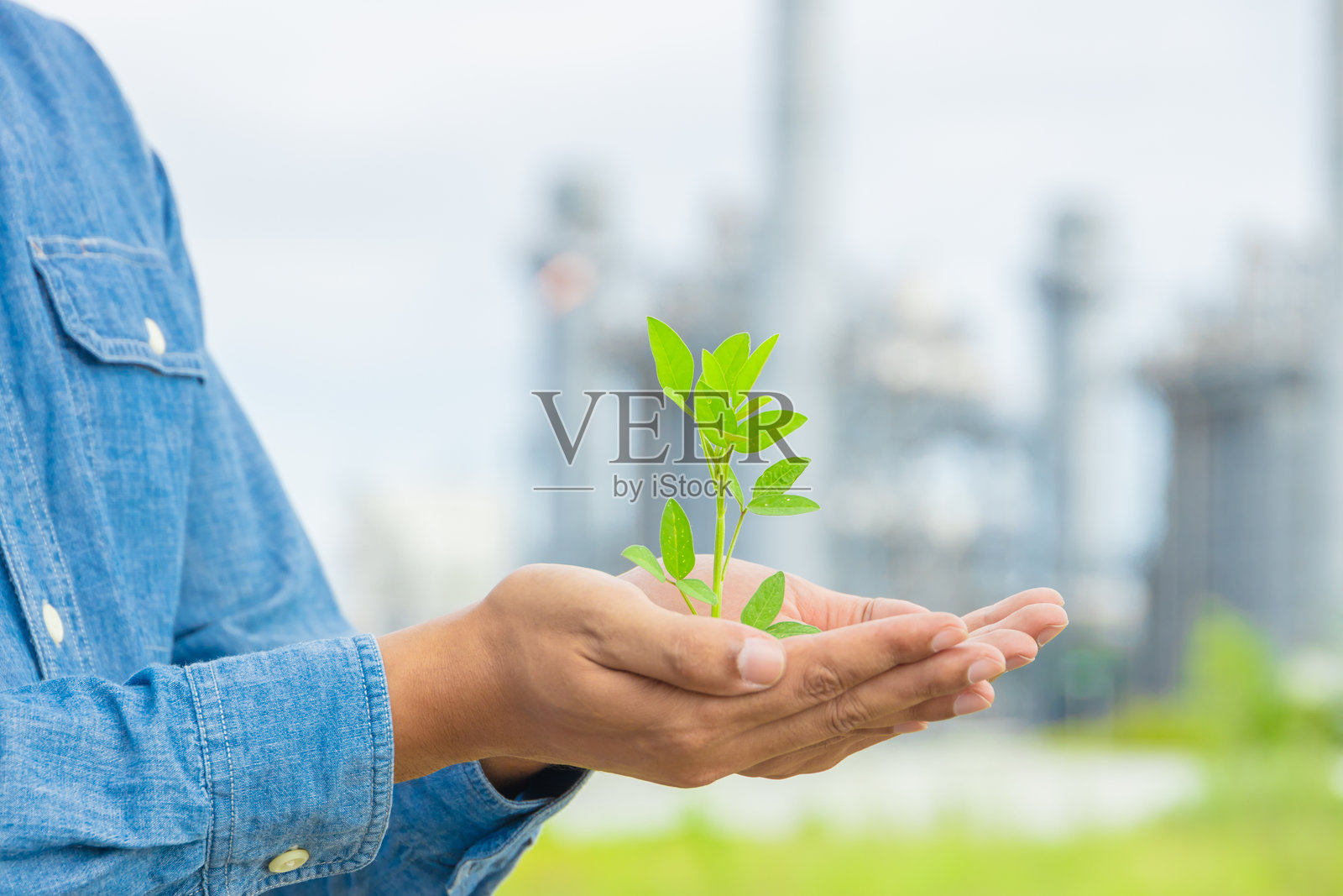 手握幼苗,背景为模糊的绿色工业植物自然景观。生态绿色工业地球日概念。照片摄影图片