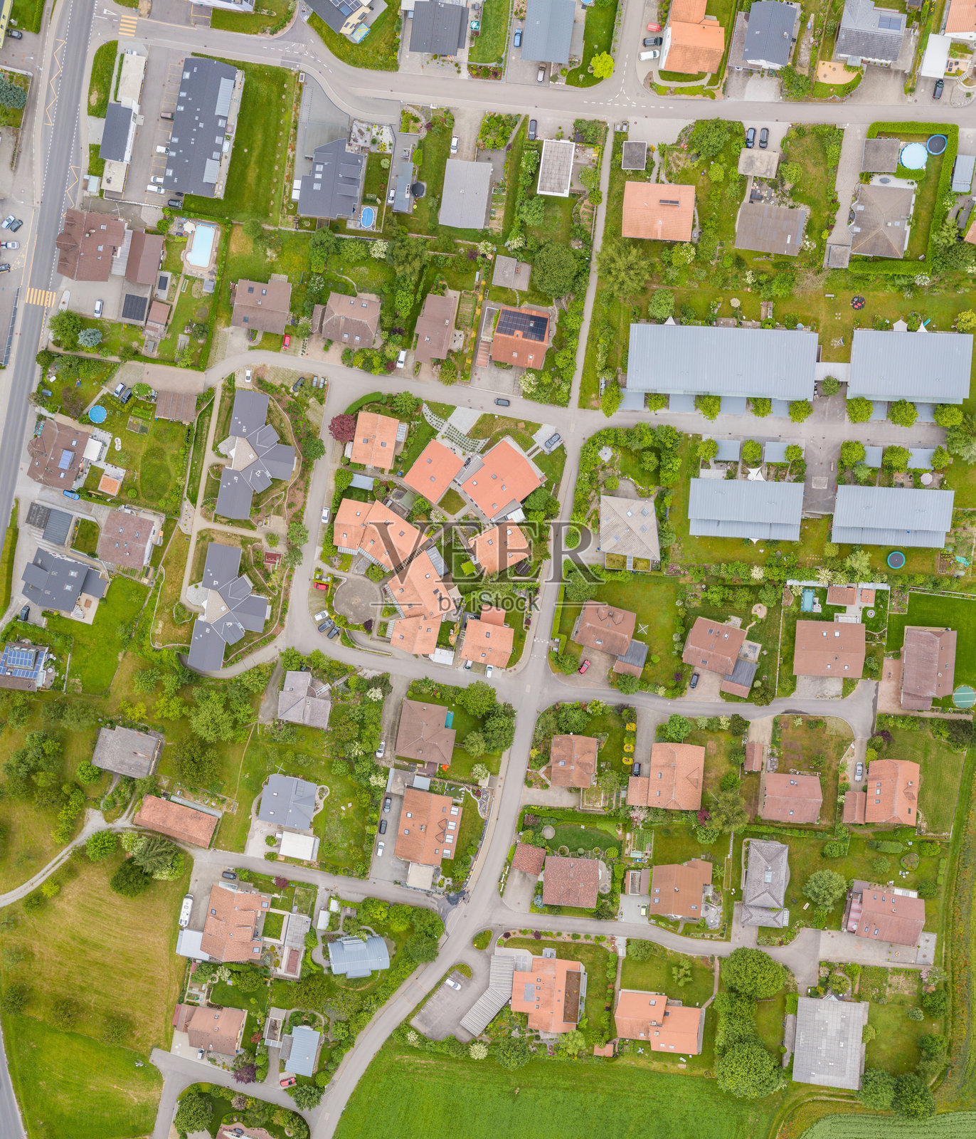 高角度视图的植物在田野上生长照片摄影图片