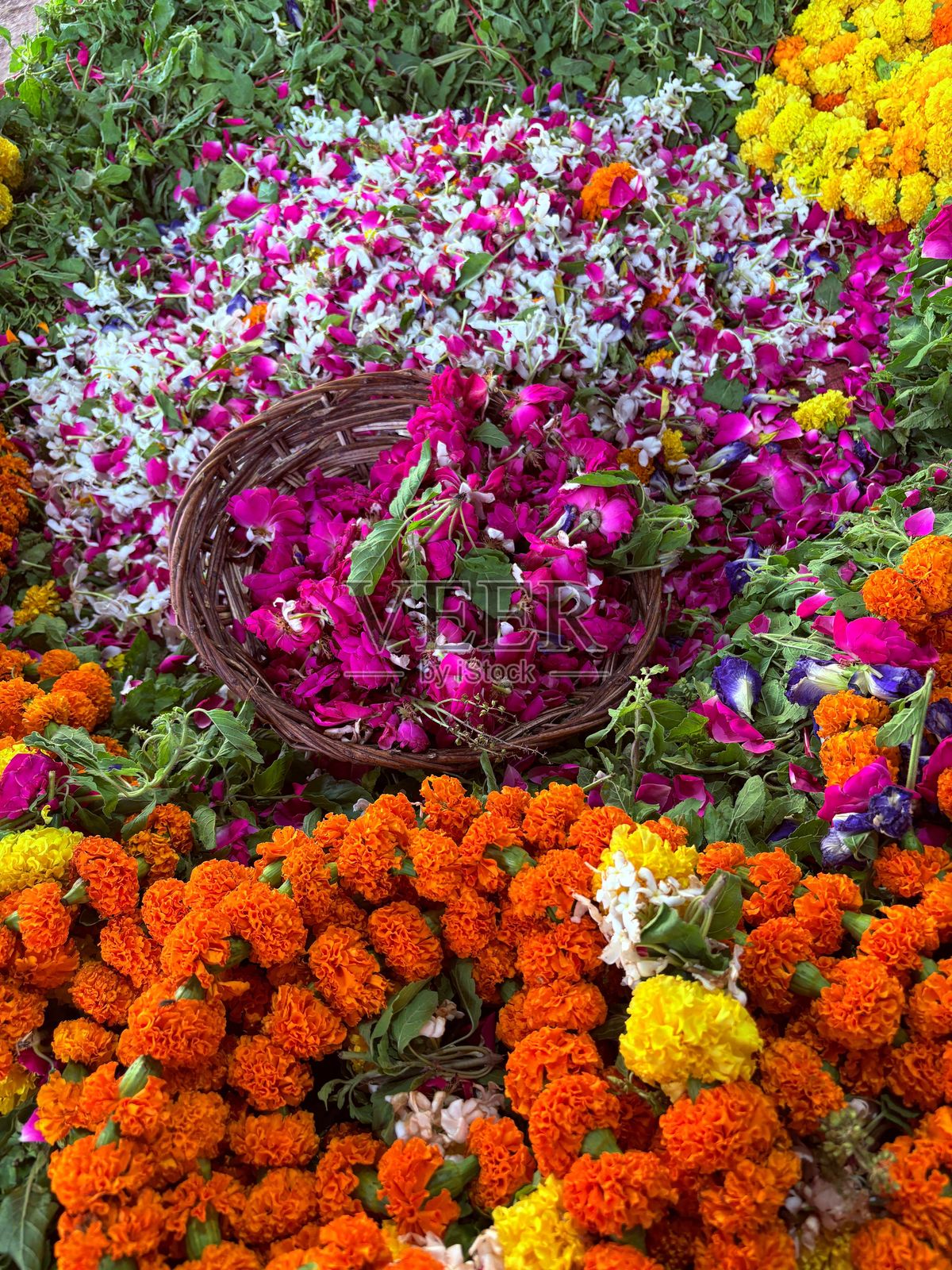 五彩缤纷的万寿菊和玫瑰花展示照片摄影图片