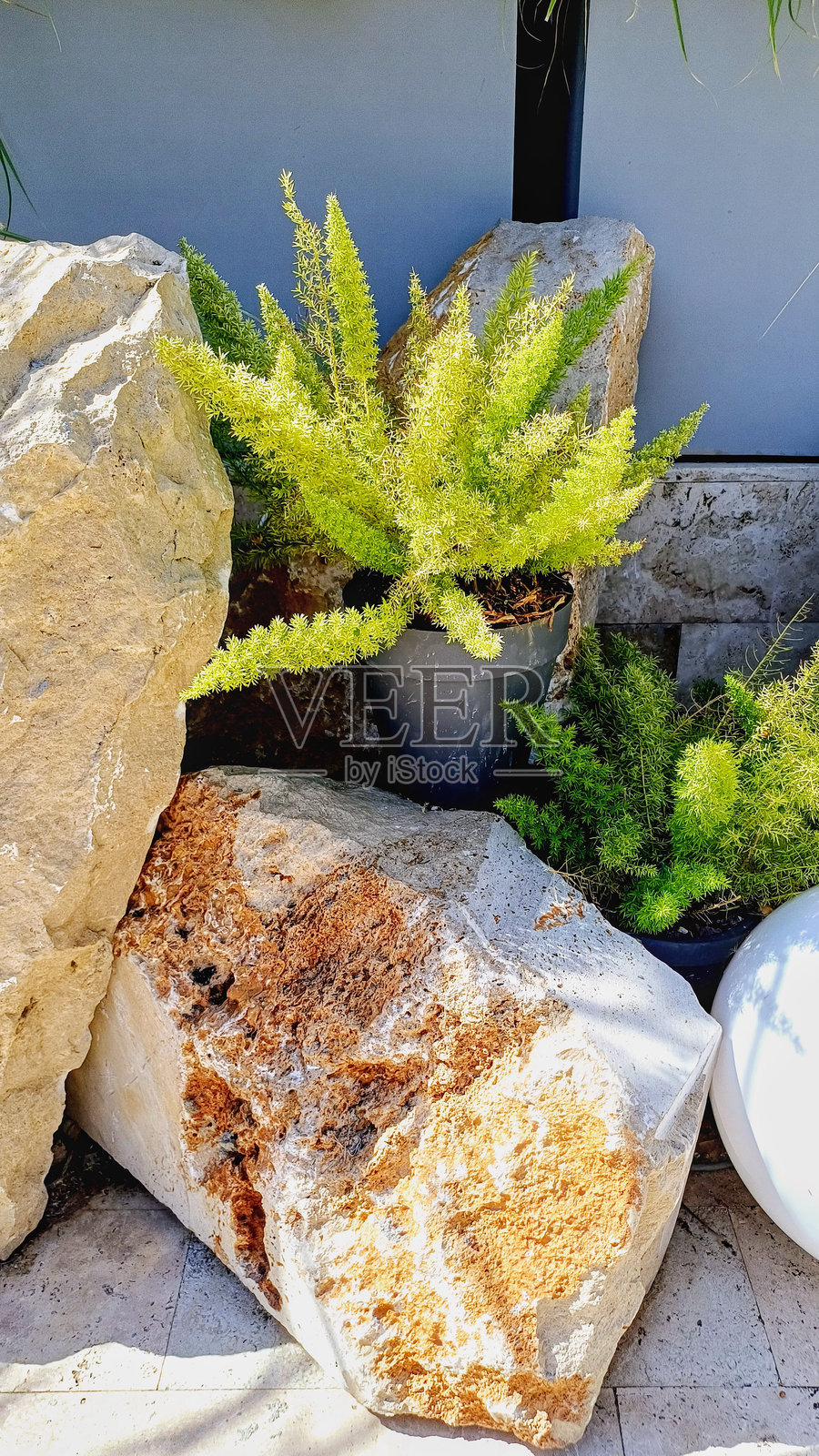 自然的黄色大石头和热带花卉照片摄影图片