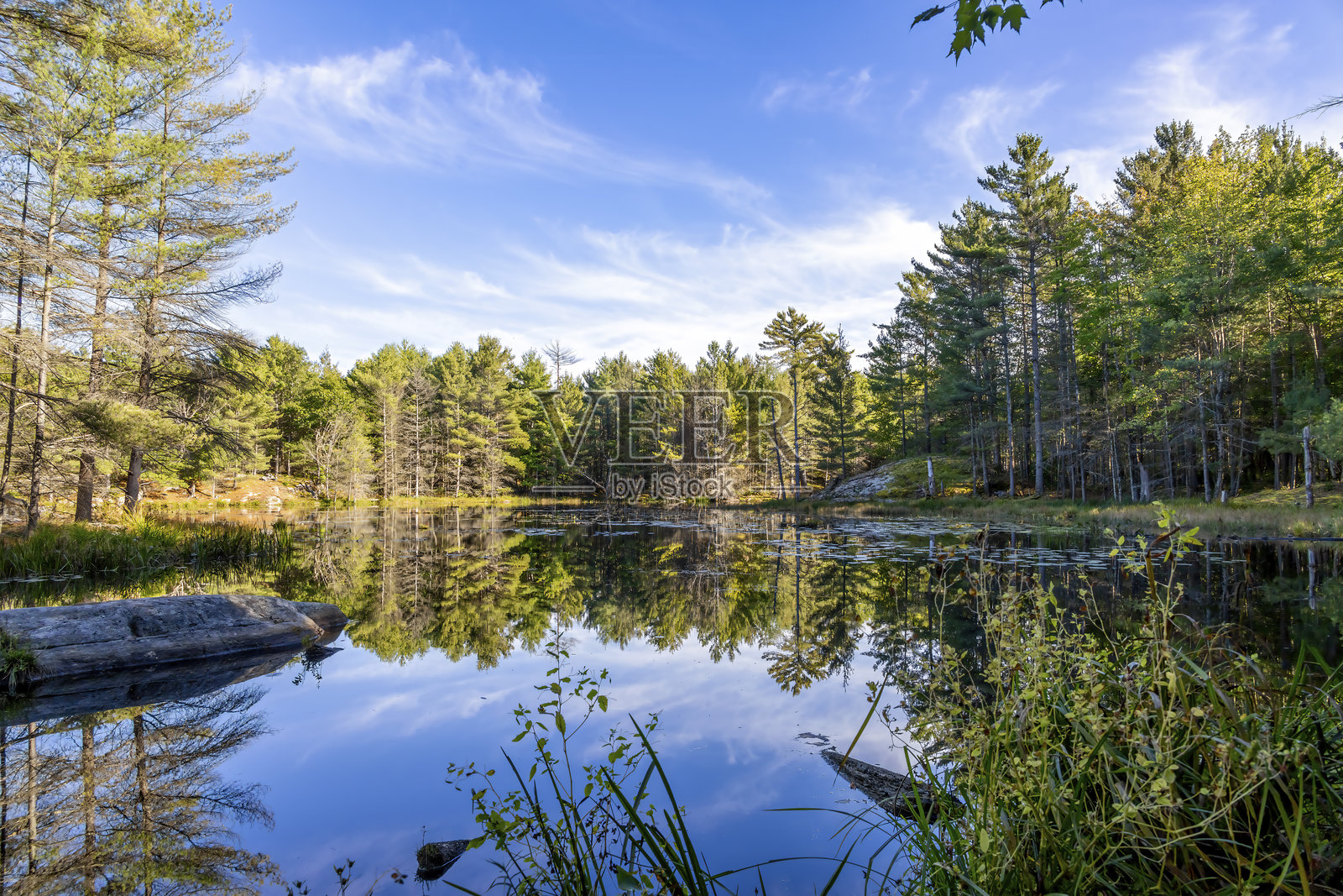 宁静的麦克雷湖倒影照片摄影图片