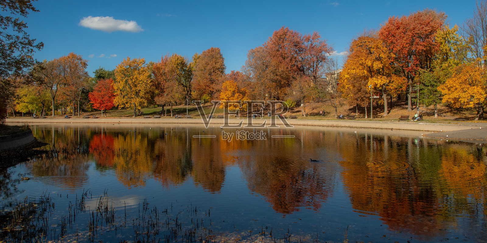 魁北克加拿大蒙特皇家高原的房屋照片摄影图片
