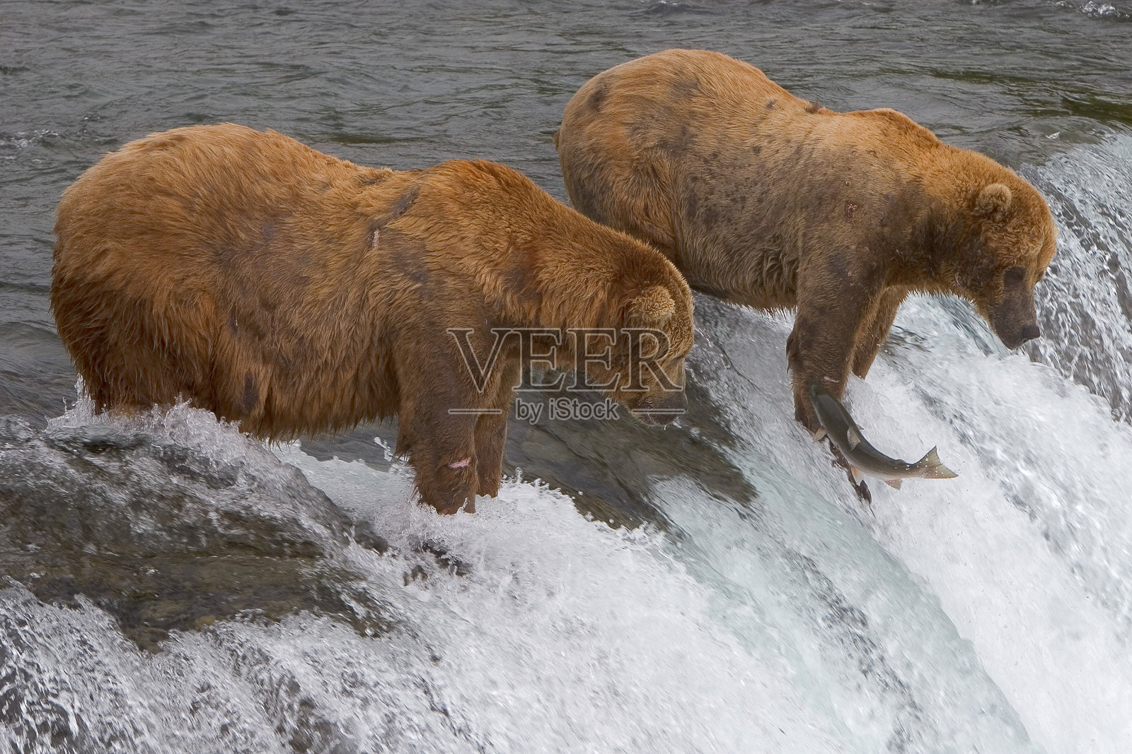 布鲁克斯瀑布照片摄影图片