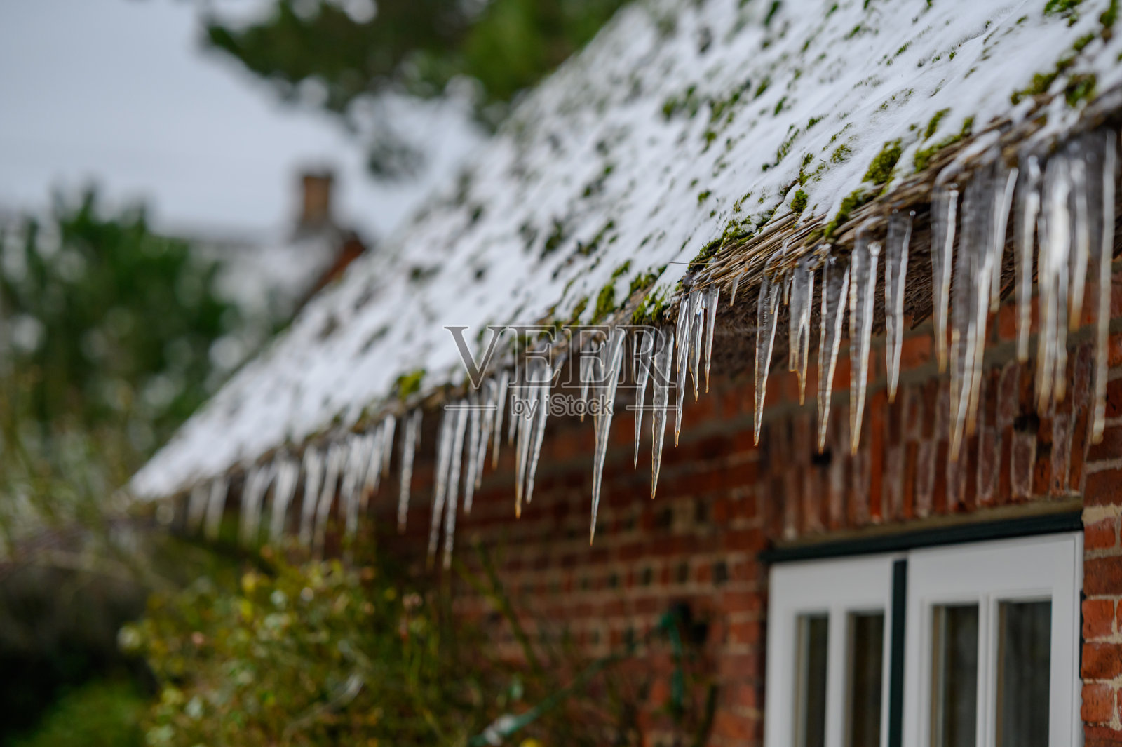 雪覆盖的茅草屋顶上的冬季冰柱。特写镜头展示了雪覆盖的茅草屋顶边缘的细长冰柱,与砖墙形成对比。照片摄影图片