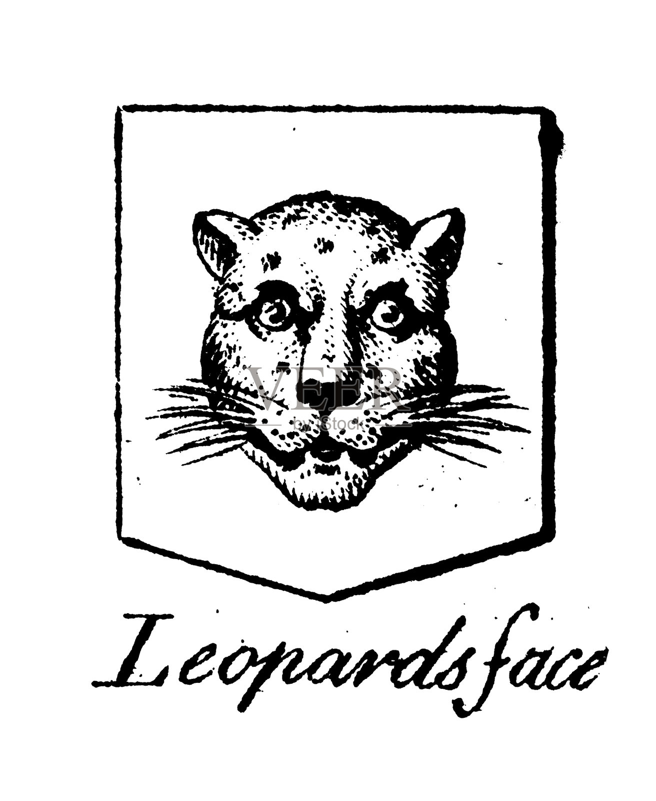 纹章学,纹章元素与家族:豹子的面孔插画图片素材