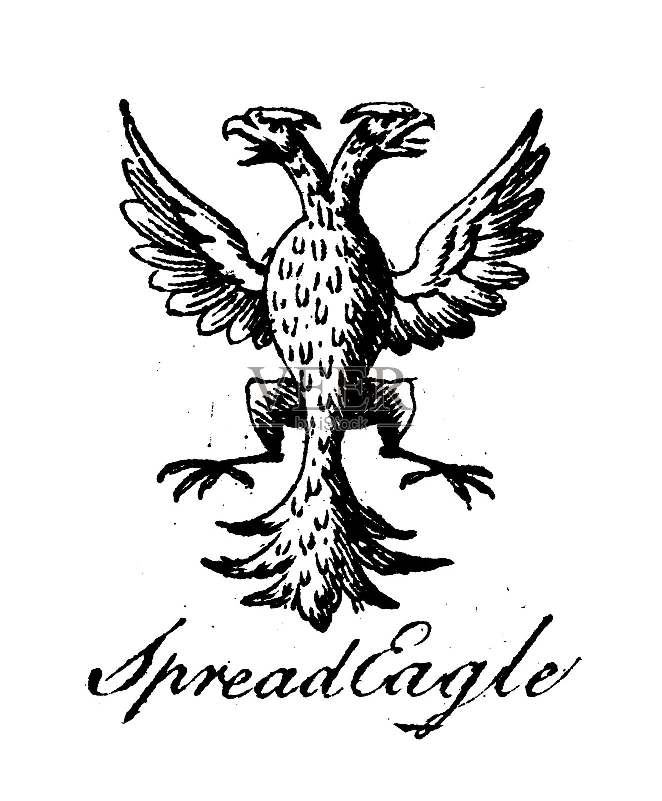 纹章学,纹章元素和家族:双头鹰插画图片素材