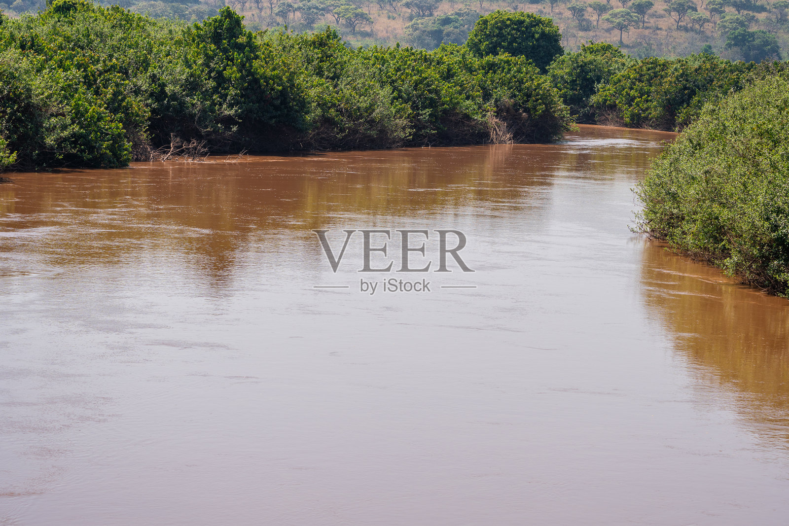 被郁郁葱葱的树木和茂密灌木包围的广阔水域,布隆迪照片摄影图片