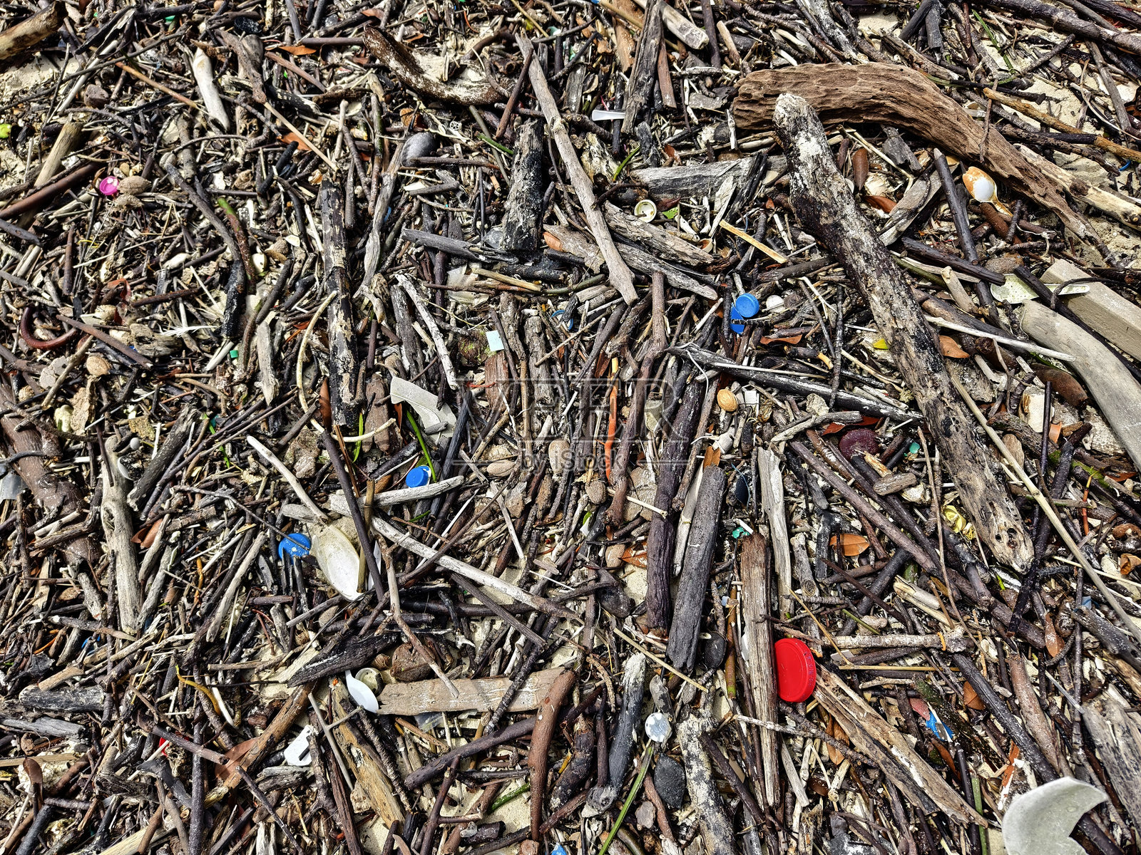 一个被木头和塑料严重污染的海滩照片摄影图片