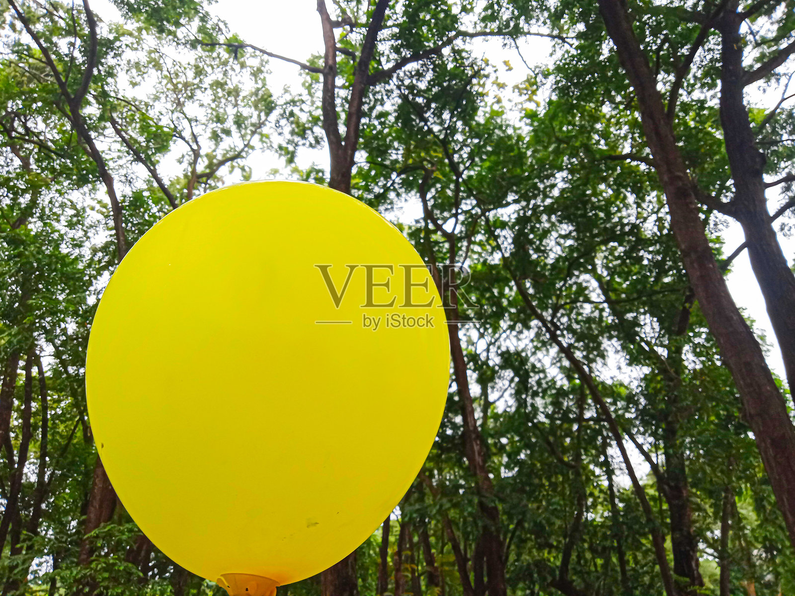 黄色气球照片摄影图片