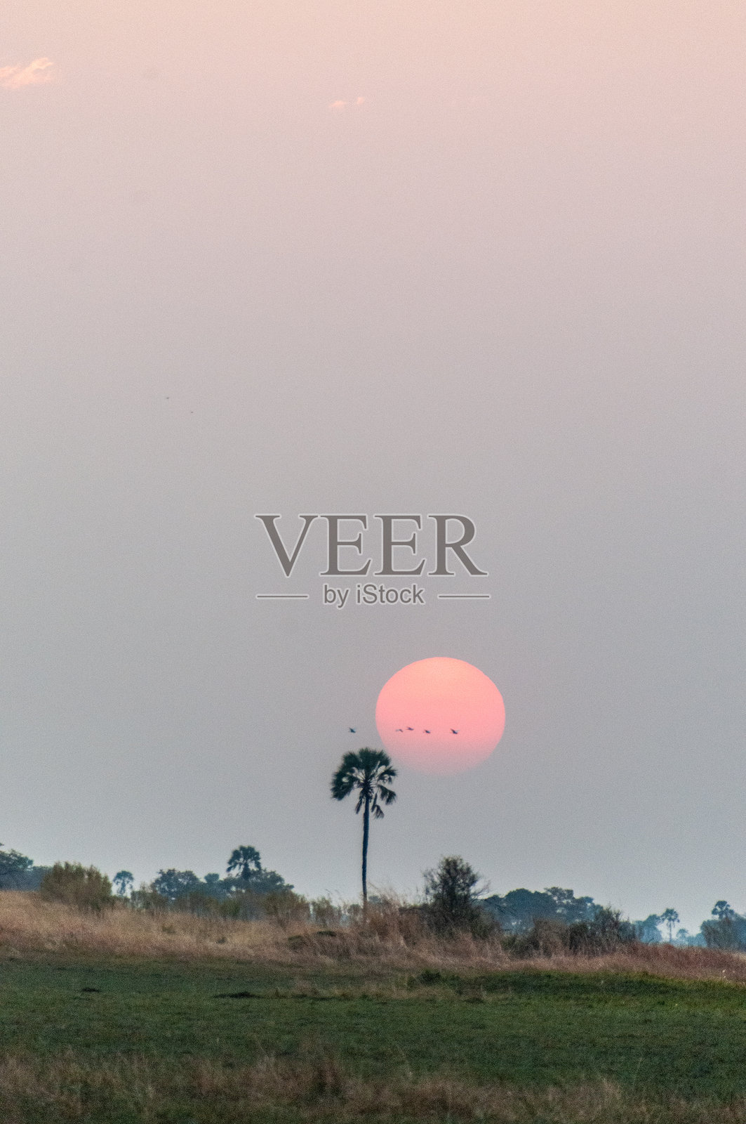 奥卡万戈的日落照片摄影图片