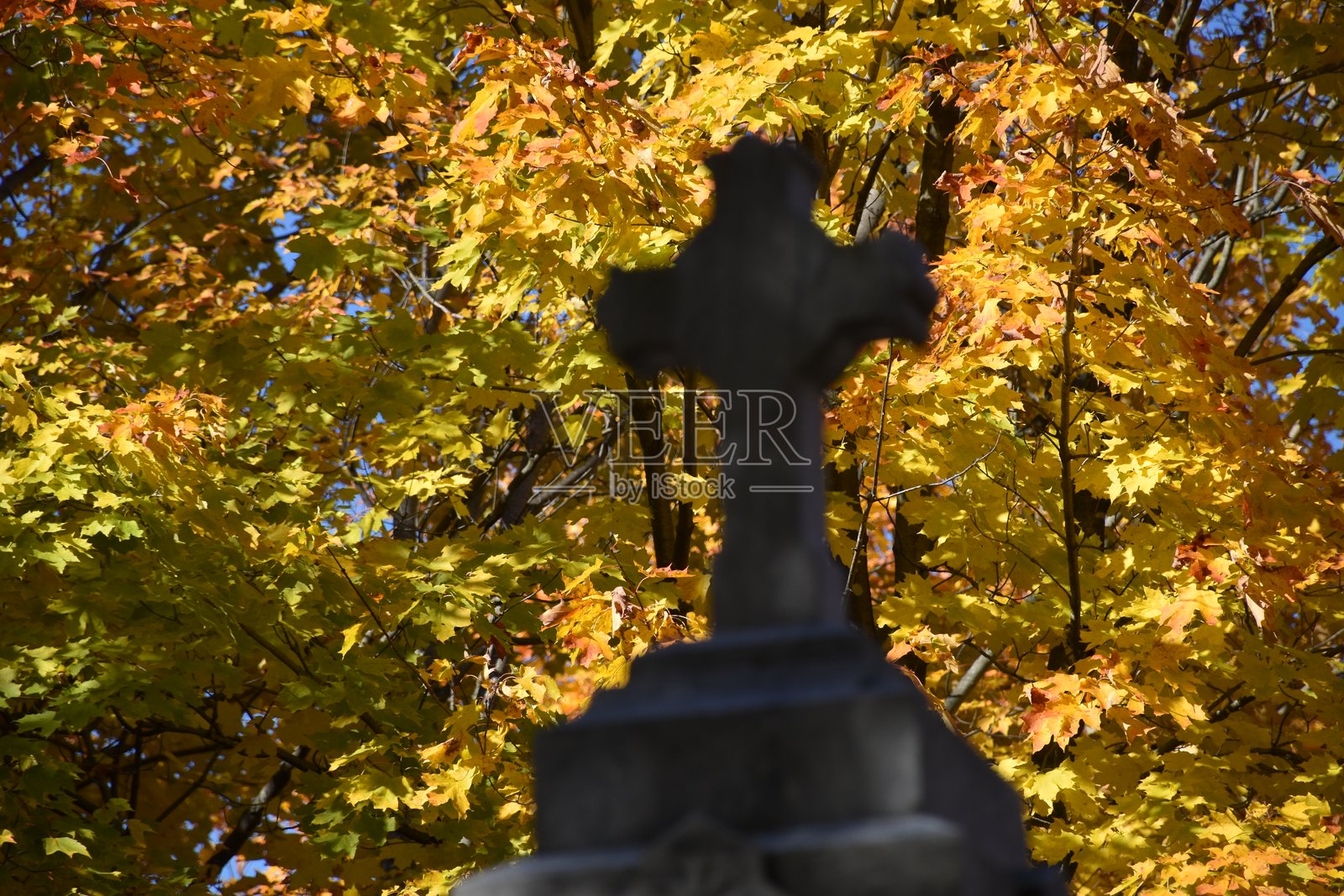在墓地照片摄影图片