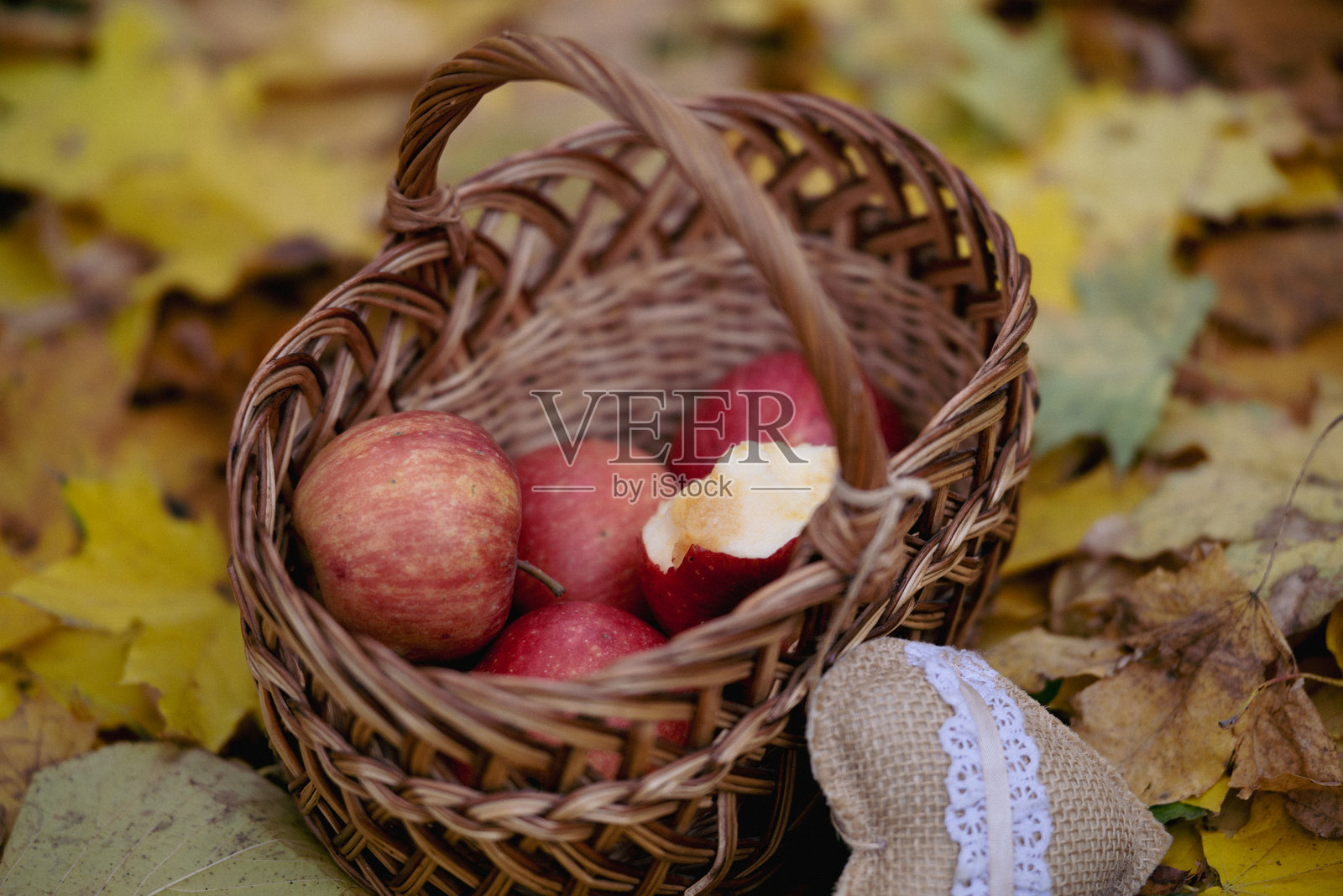 公园里,黄色树叶背景下的篮子里的苹果。照片摄影图片