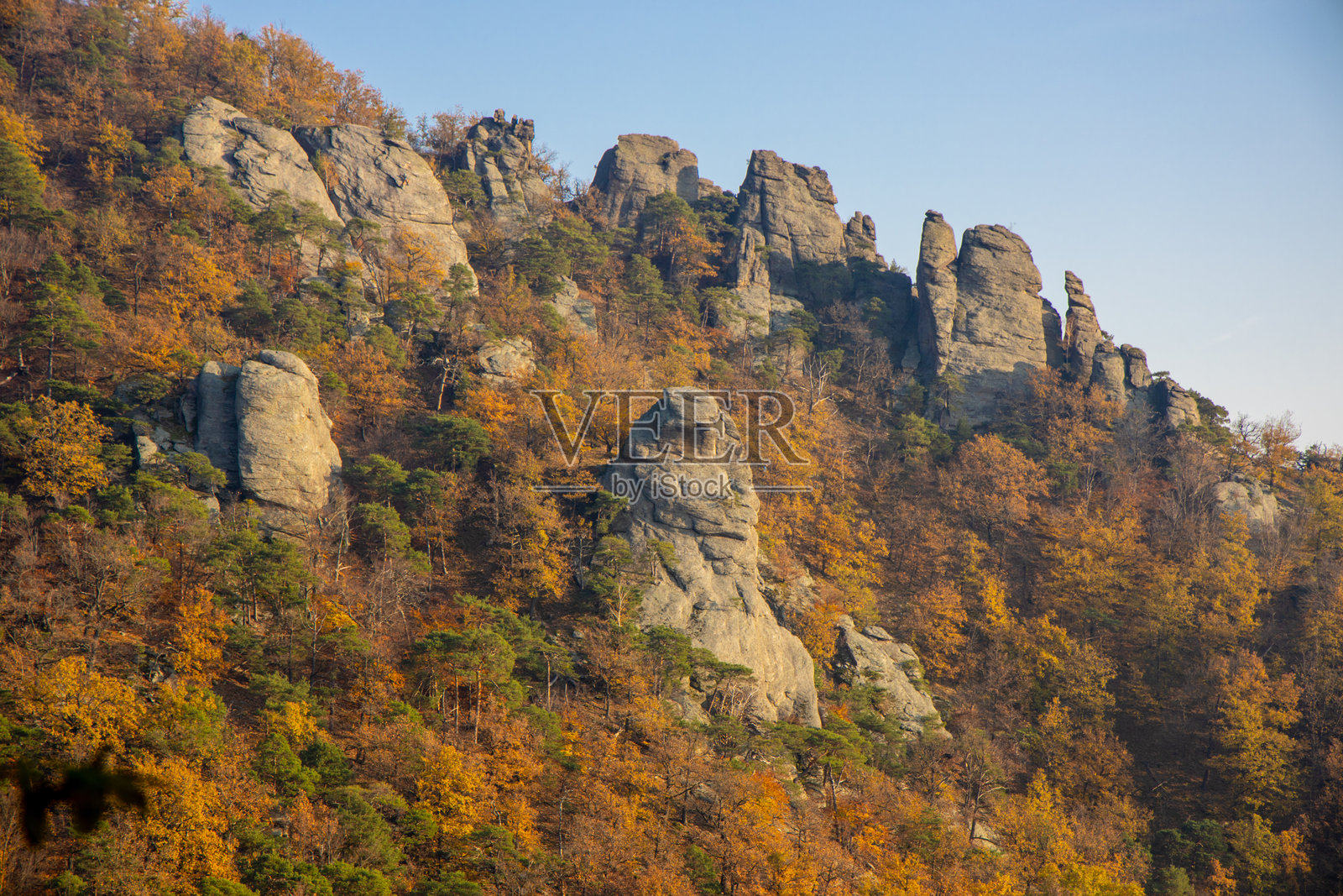 奥地利多瑙河沿岸的森林和山脉中的金色秋天照片摄影图片