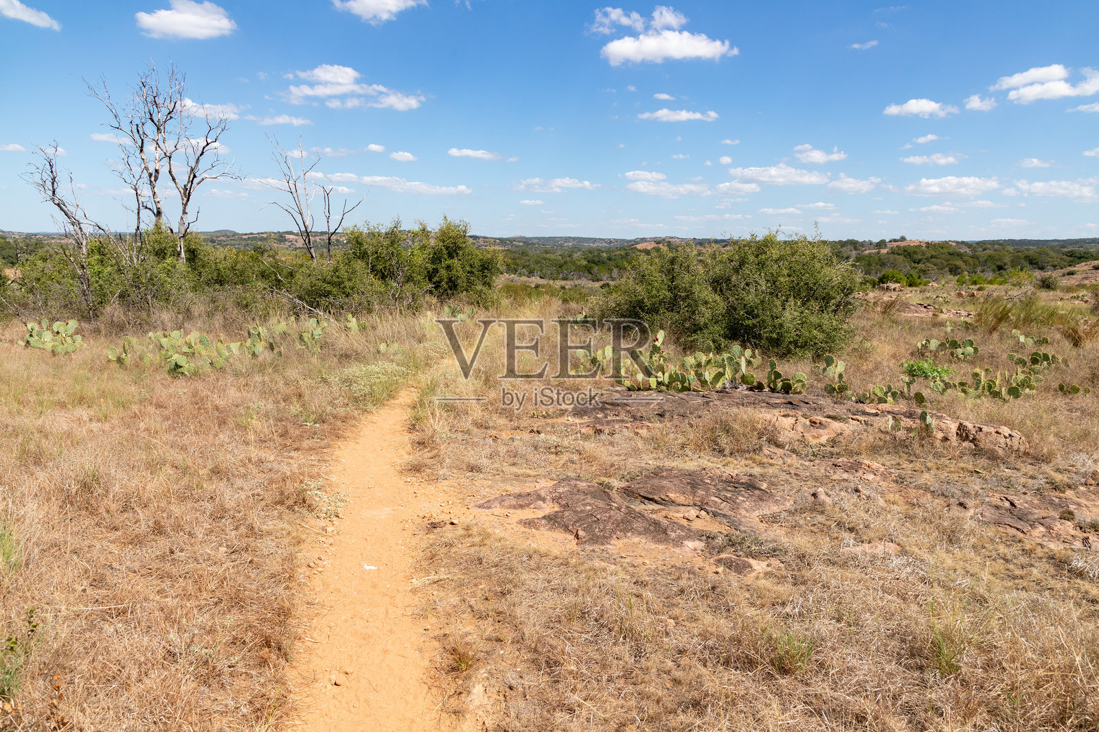 在印克斯湖周围的岩石和植被间的小径照片摄影图片