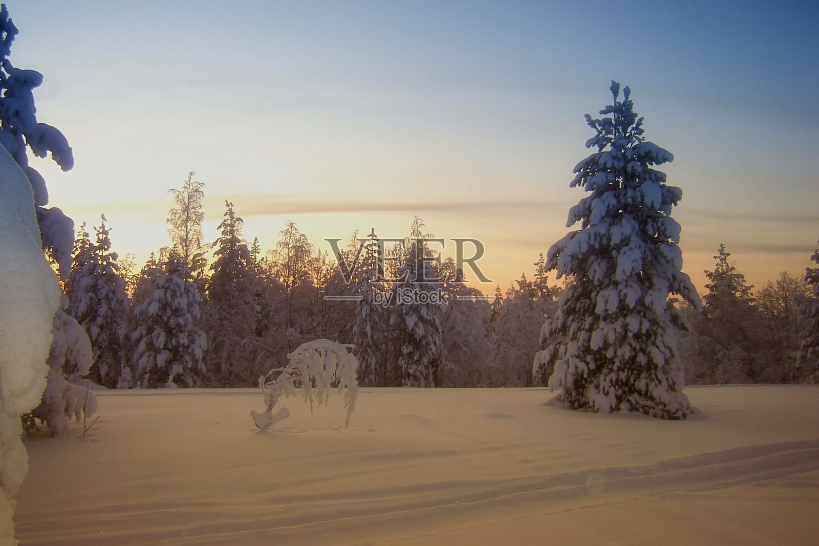 冬季森林上空的黎明,厚厚的雪层覆盖,冬季林地风景,森林上的冬季日出,柔和的焦点。照片摄影图片