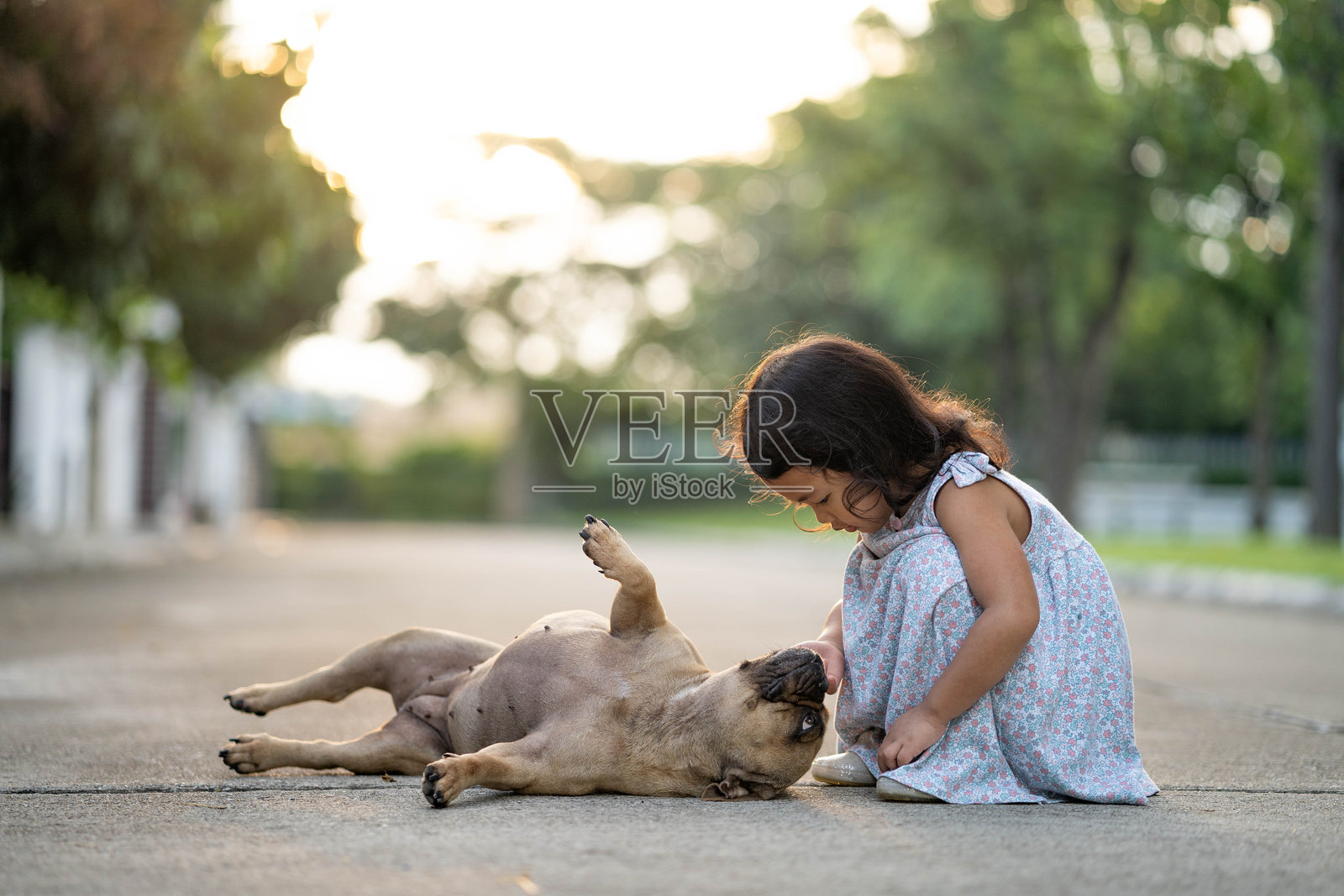 可爱的小女孩在乡村的道路上与法国斗牛犬玩耍。照片摄影图片