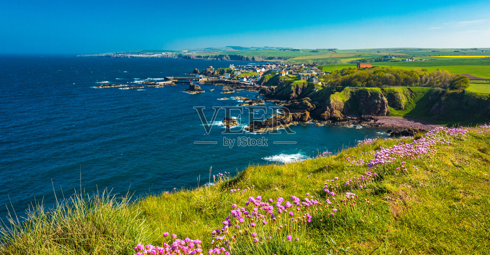 斯特阿布斯村,斯塔尼湾 - 自然保护区,贝尔威克郡,苏格兰,英国照片摄影图片