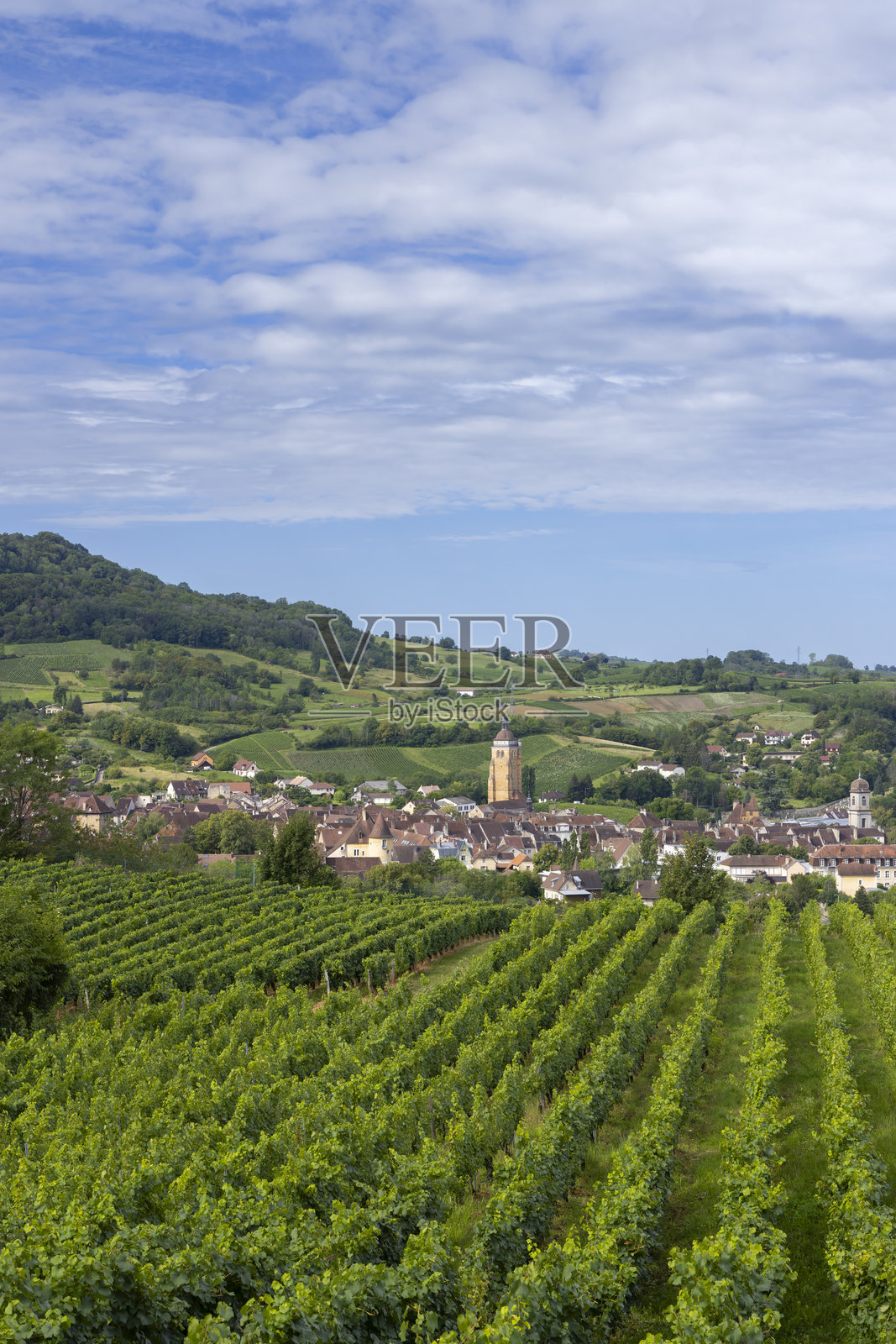 法国弗朗什-孔泰省朱拉地区的阿尔博瓦镇葡萄园照片摄影图片