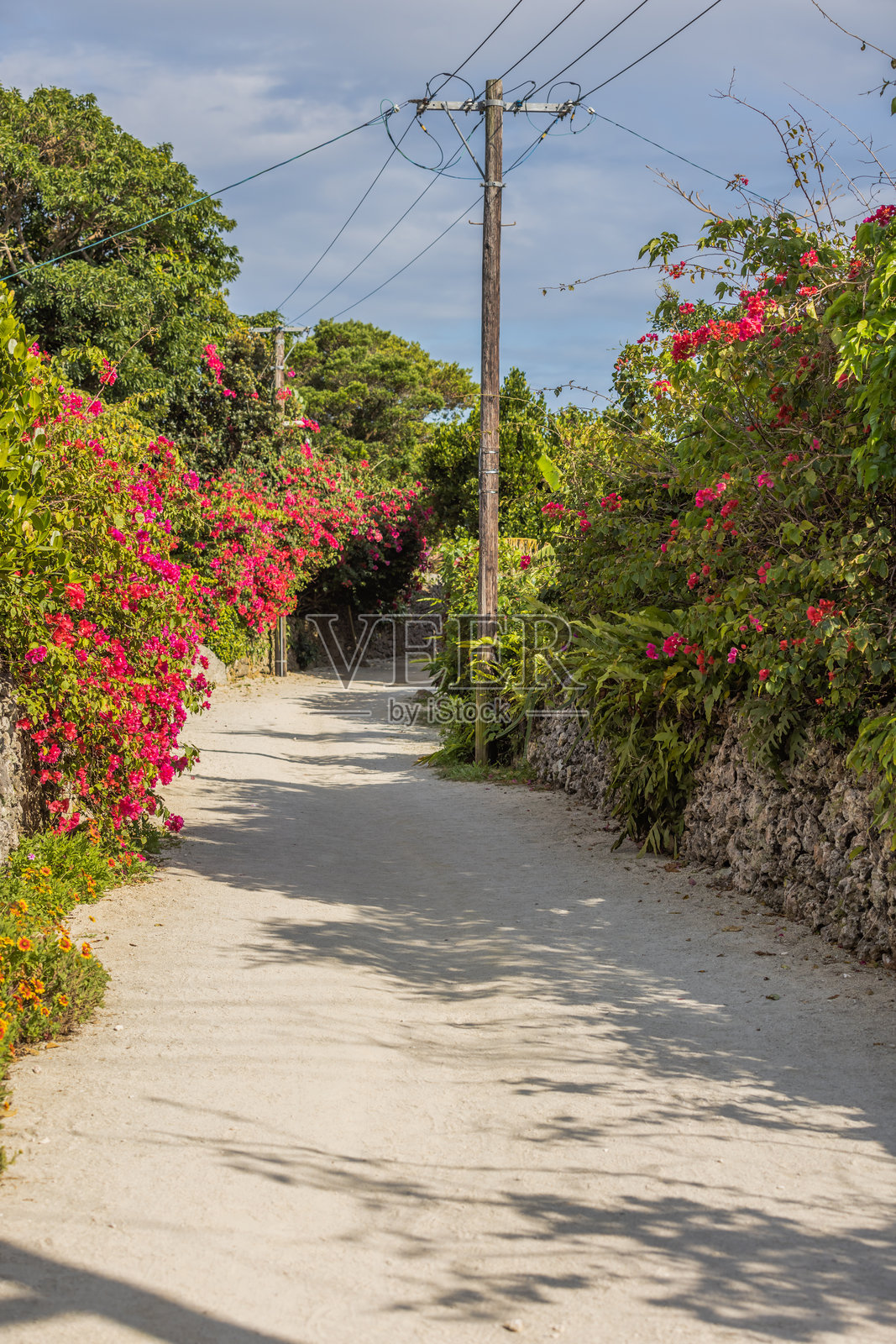 冲绳县竹富岛的城镇风景照片摄影图片