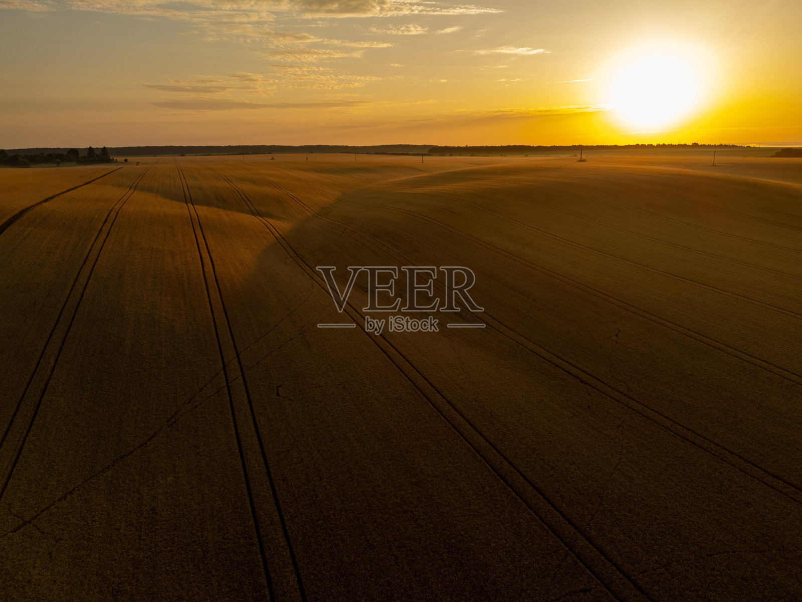 金色时光洒在耕作过的农田上照片摄影图片