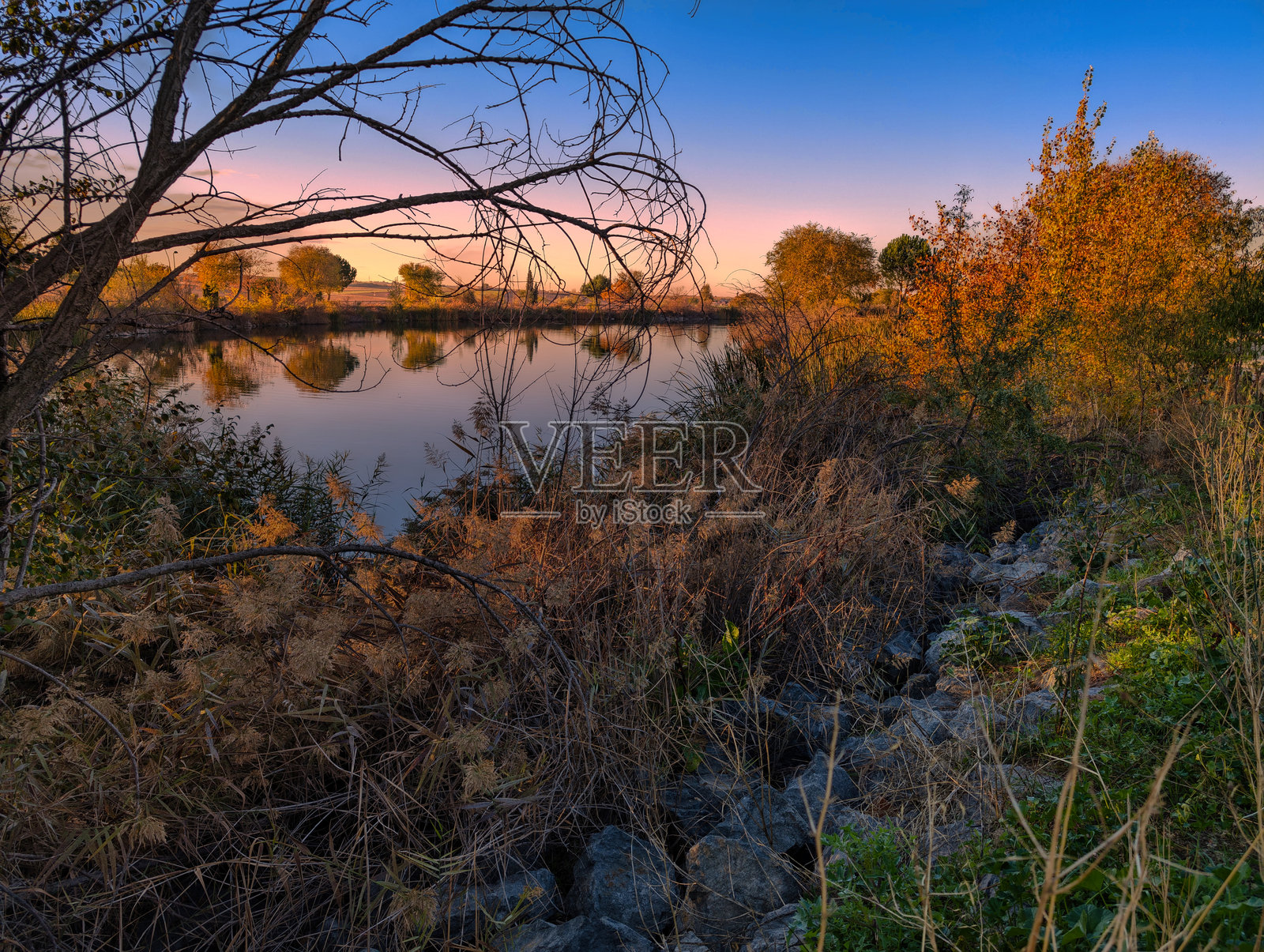 晨雾中的秋季农业风景,阳光照耀下的植物与自然倒影照片摄影图片