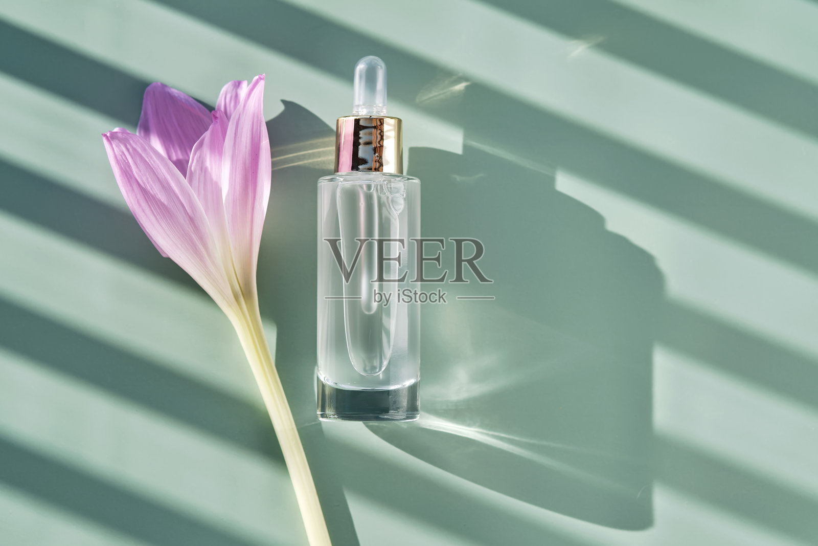 绿色背景上带有阴影条纹的化妆品精华瓶和滴管。照片摄影图片