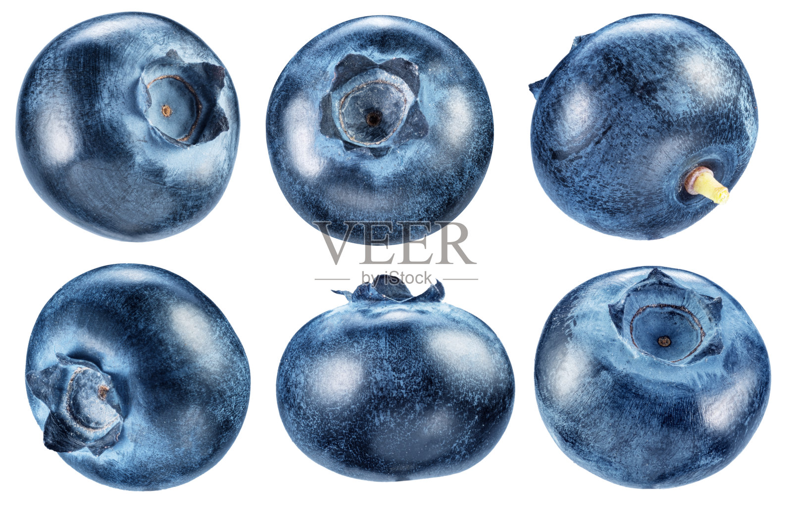 六颗成熟的蓝莓在白色背景上。文件包含剪切路径。照片摄影图片