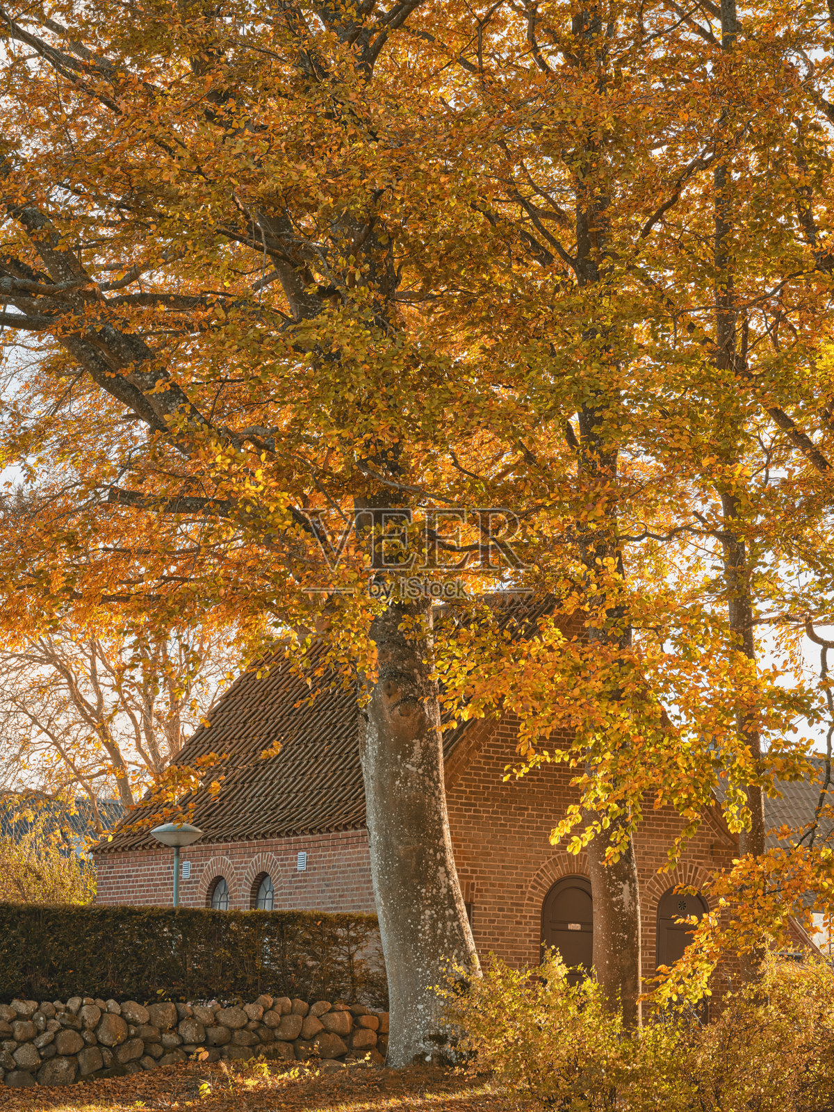 五彩斑斓的秋天照片摄影图片