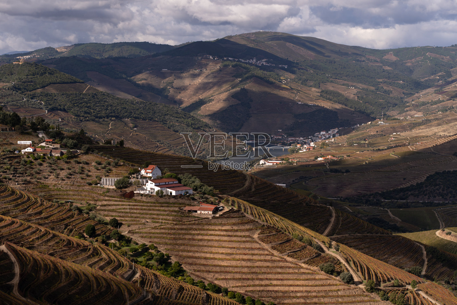 杜罗河谷照片摄影图片