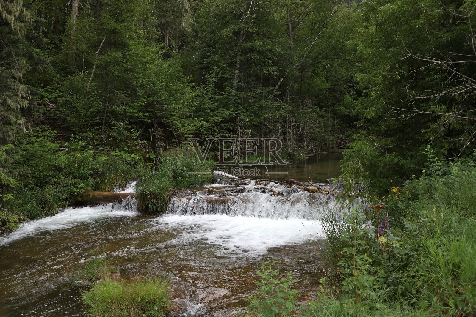 黑丘国家森林,斯皮尔菲什峡谷,南达科他州照片摄影图片