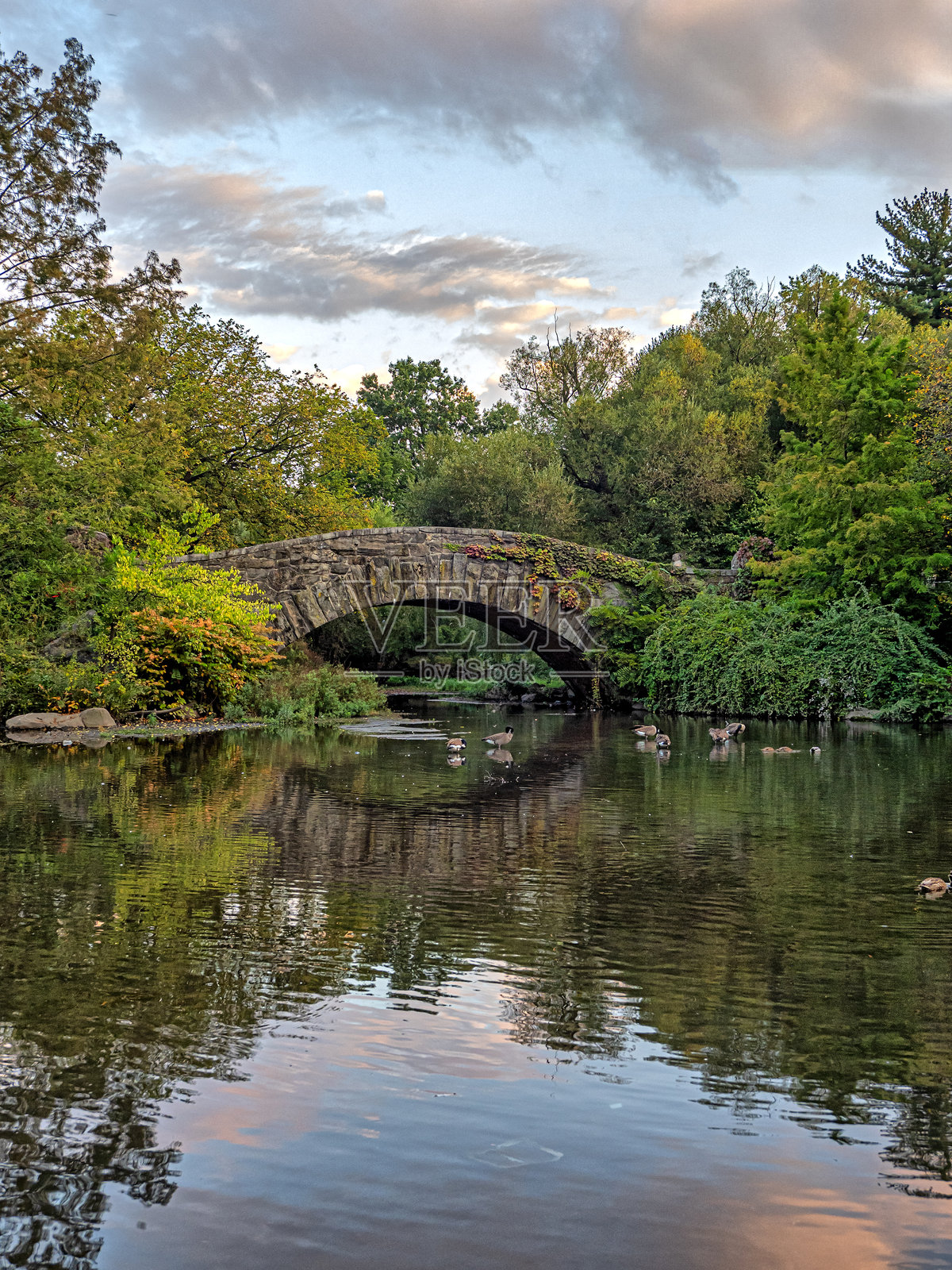 中央公园的盖普斯托桥,清晨时分照片摄影图片