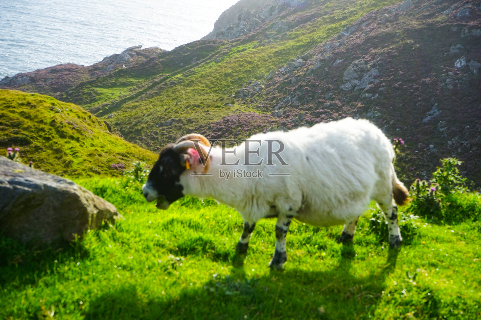 爱尔兰多尼戈尔县的风景照片摄影图片