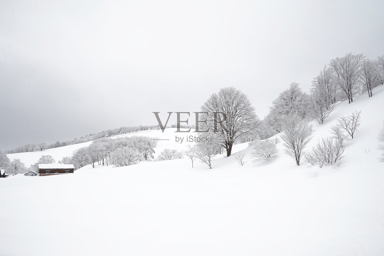 韩国江原道大关岭的雪景照片摄影图片