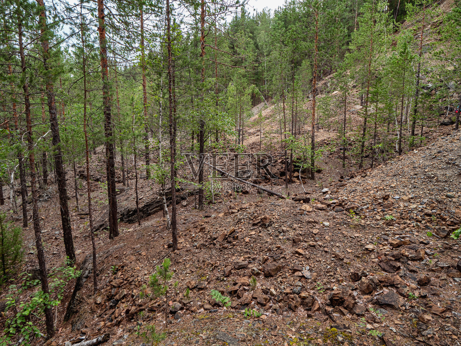 南乌拉尔,巴什基尔州自然保护区:巴沙特山下废弃矿山的铬铁矿石岩石堆。照片摄影图片
