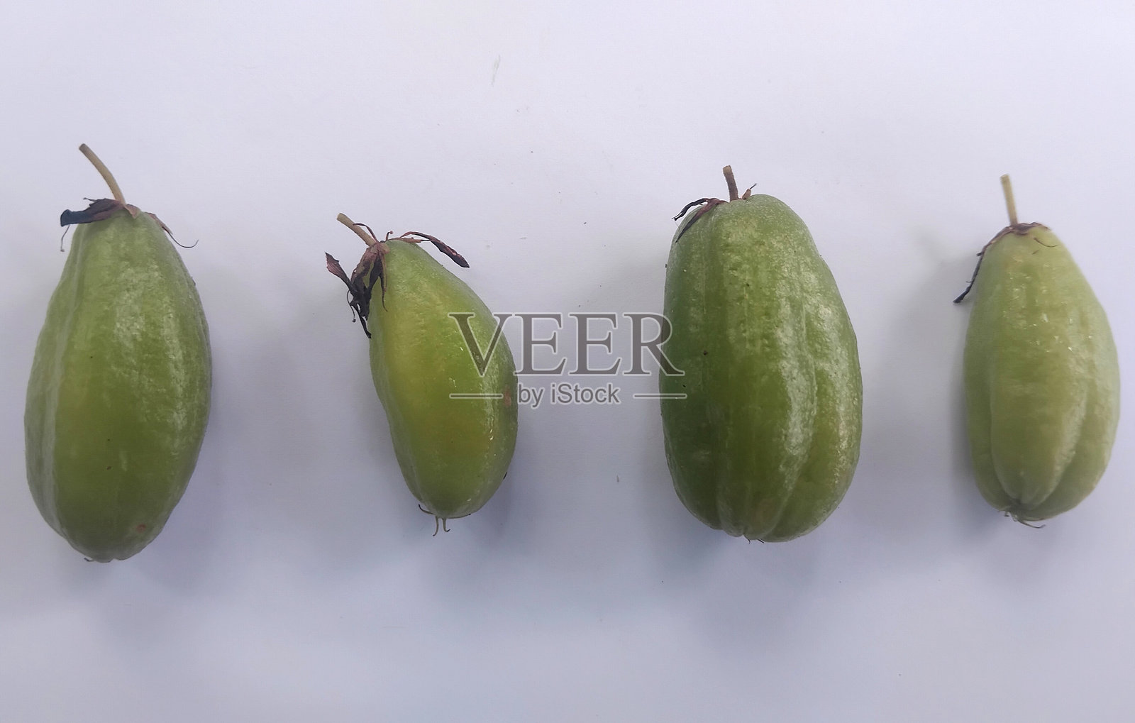 收获的酸角果或酸角植物照片摄影图片