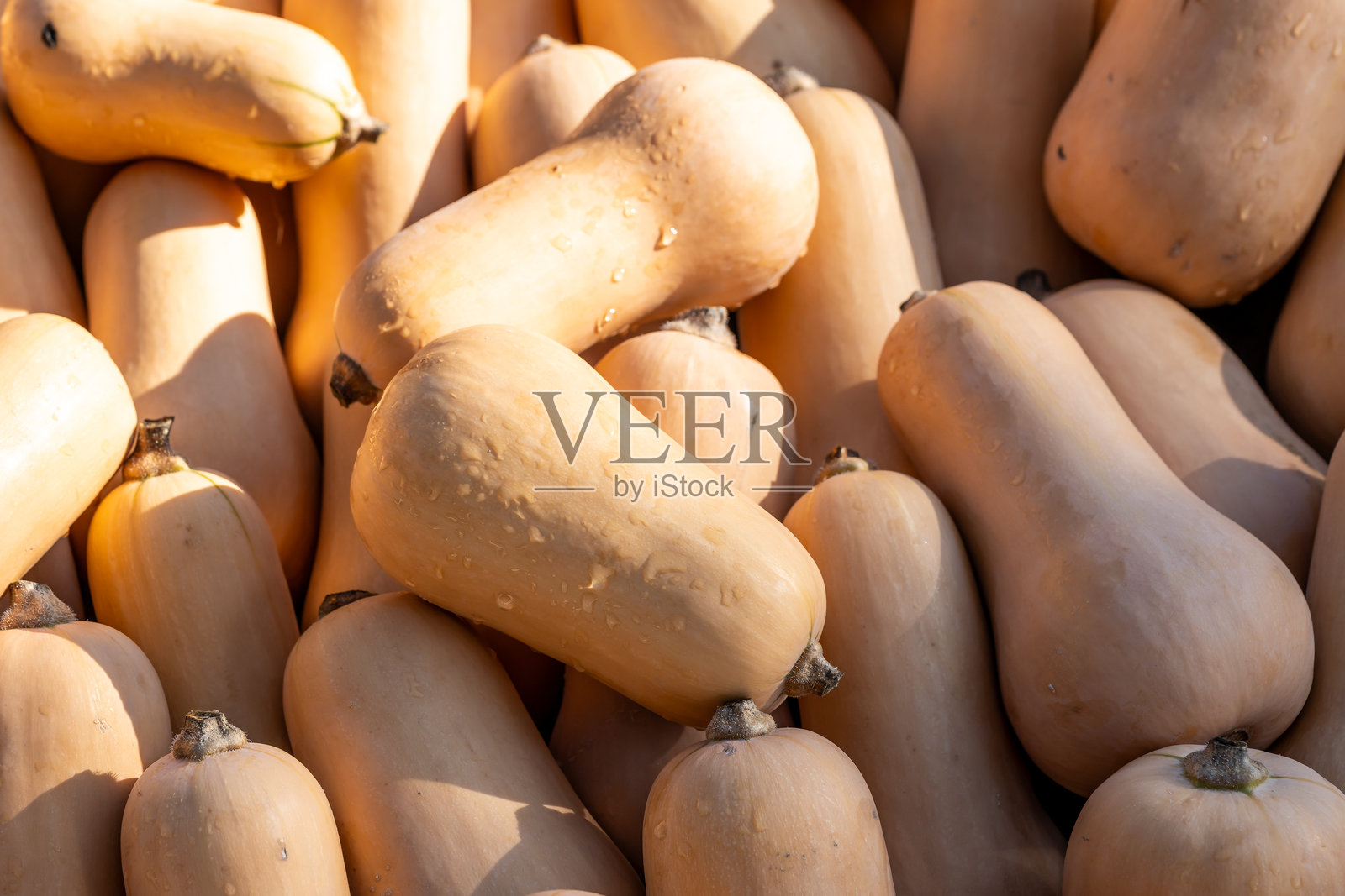 一堆葫芦照片摄影图片