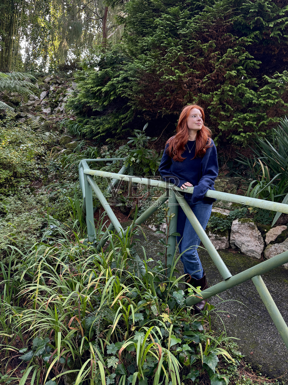 一位迷人的红发女性穿着海军蓝毛衣,牛仔裤塞进皮革步行靴,站在柏油人行道上,身后是木栅栏,周围是针叶树和杜鹃花景观花园。照片摄影图片