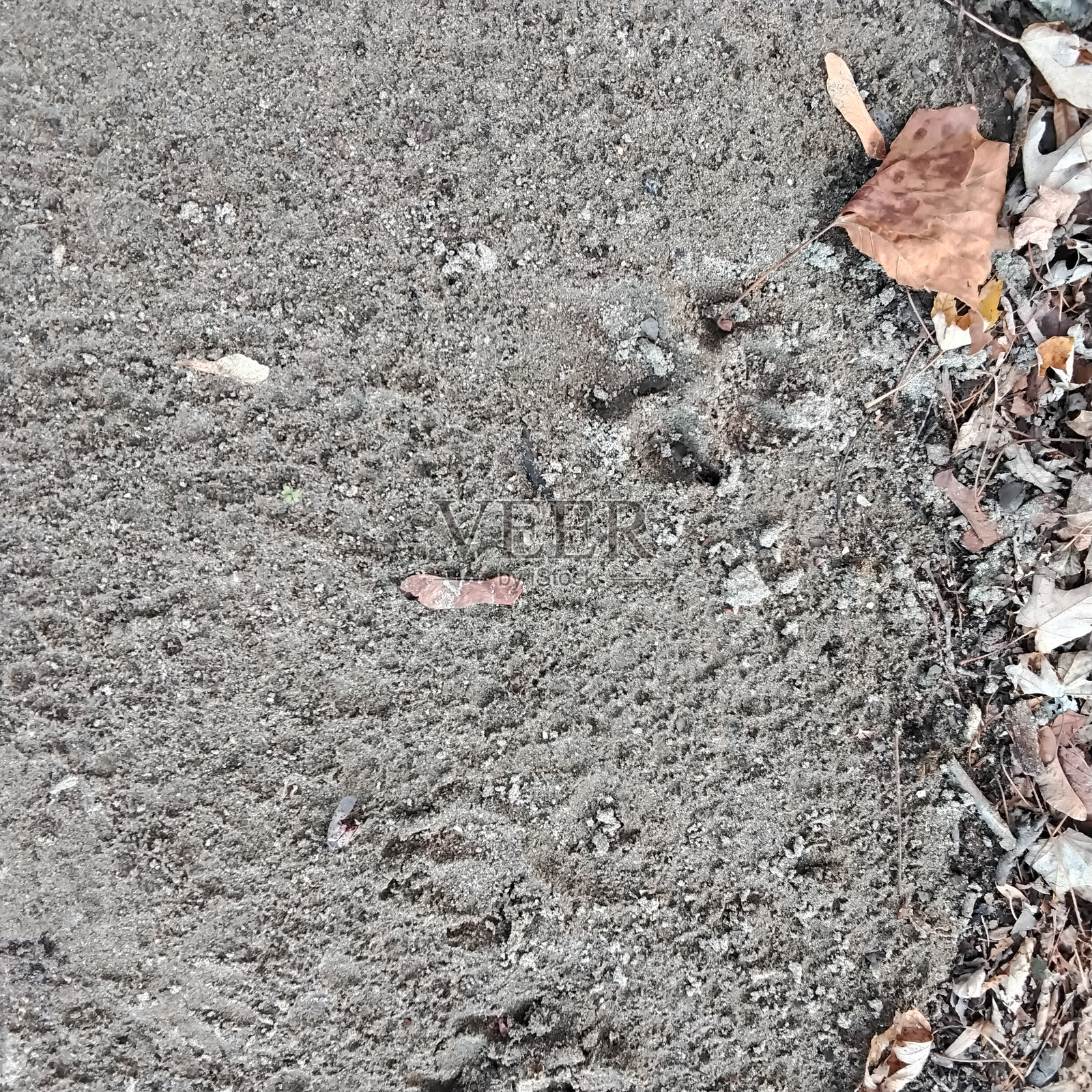 轨道照片摄影图片