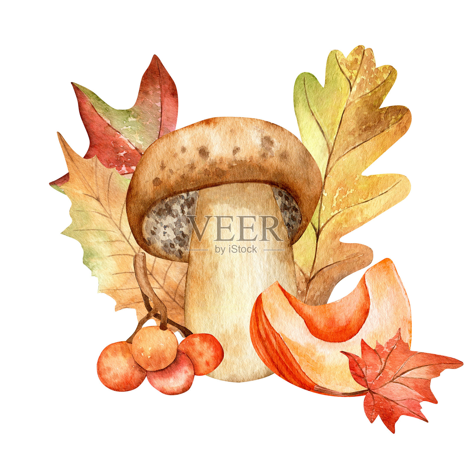 水彩插图。插画图片素材