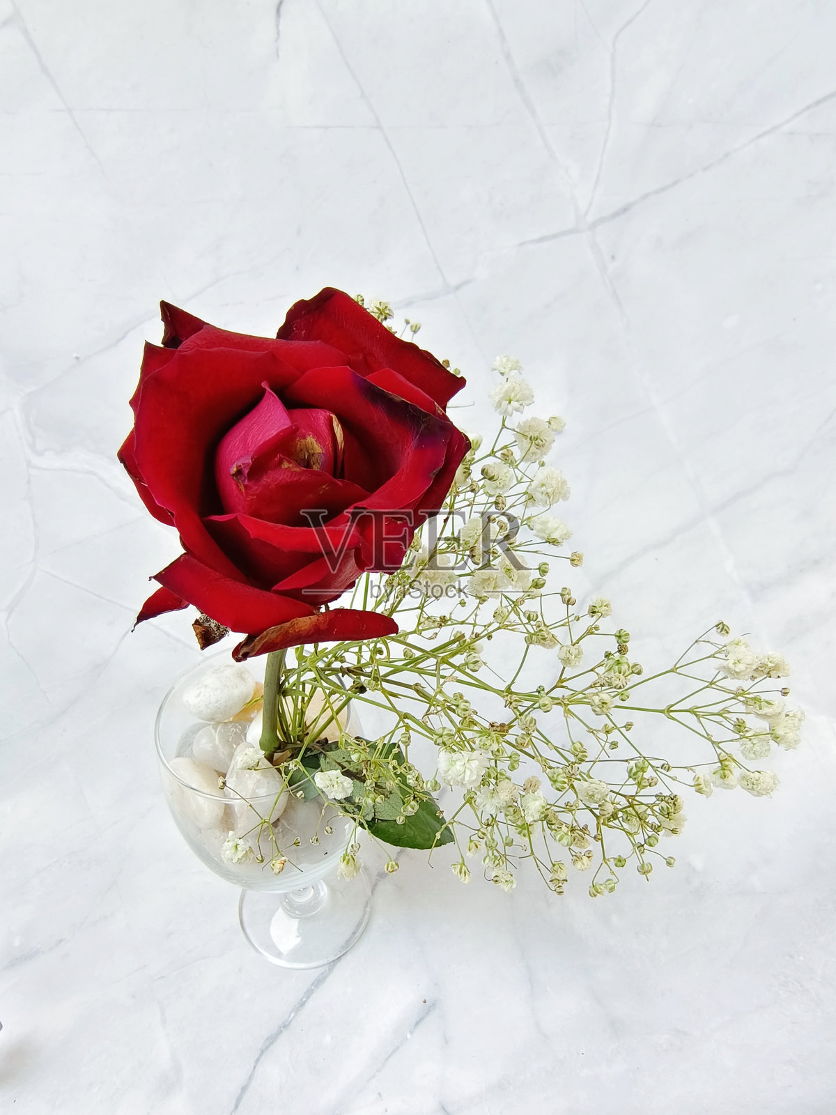 模糊的红玫瑰花与满天星在白色背景上独立展示照片摄影图片