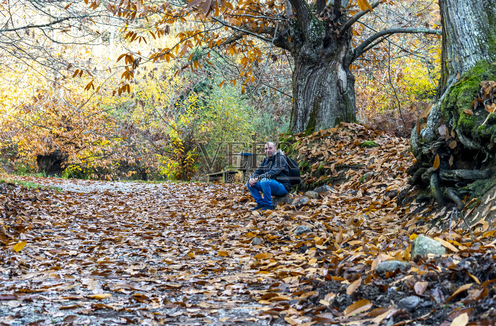 男人在公园里散步后坐着照片摄影图片