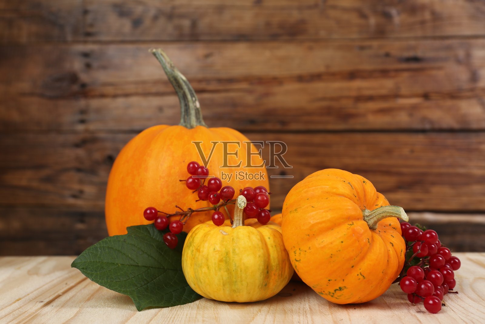 感恩节快乐。木桌上的南瓜和浆果照片摄影图片