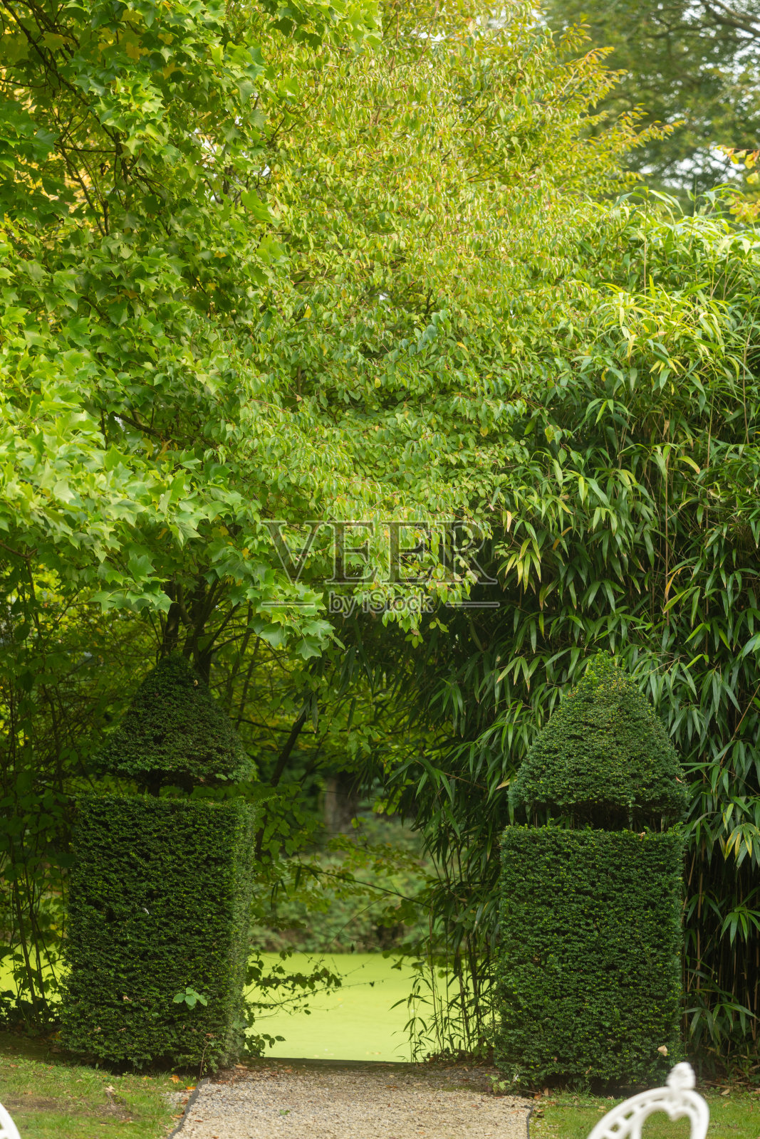 订婚组织与桌面布置照片摄影图片