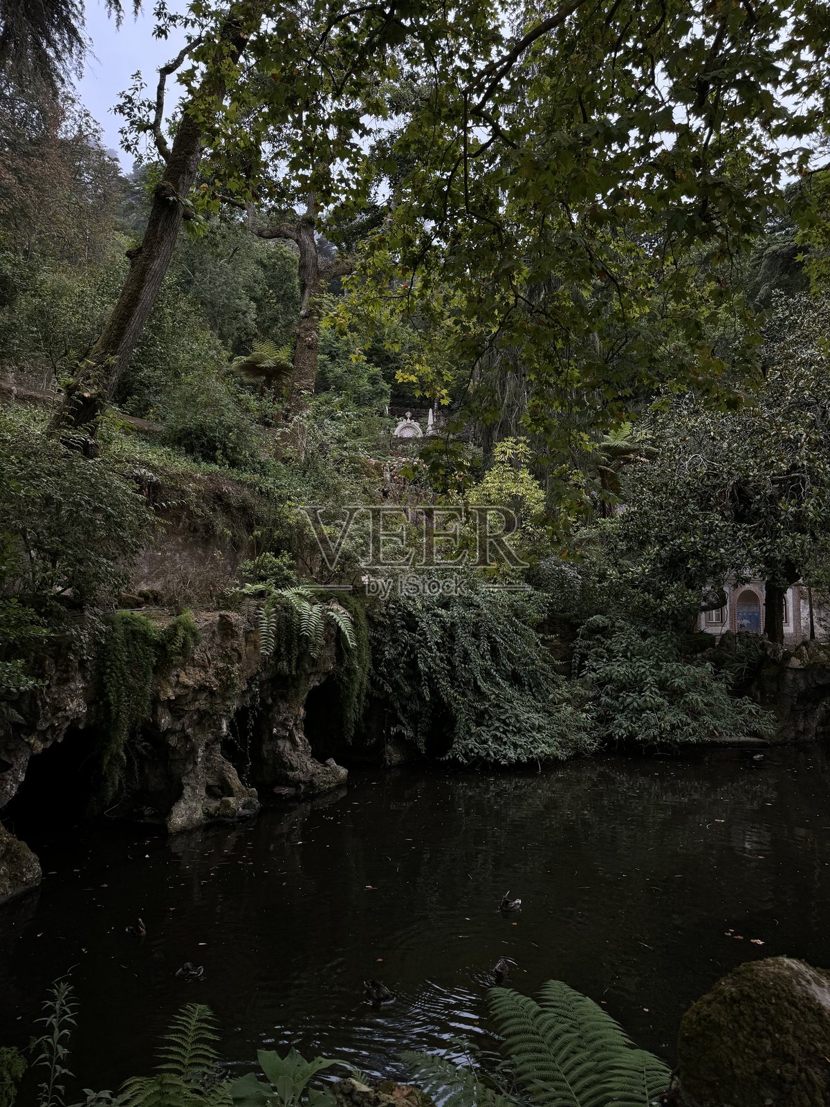 黑暗学术风格的葡萄牙辛特拉雷加莱拉庄园的池塘照片摄影图片